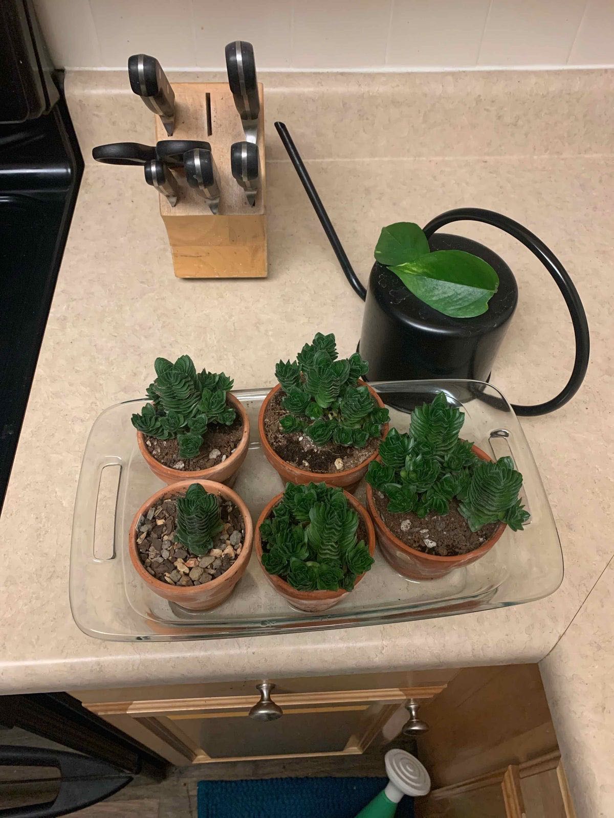 Photo from the post