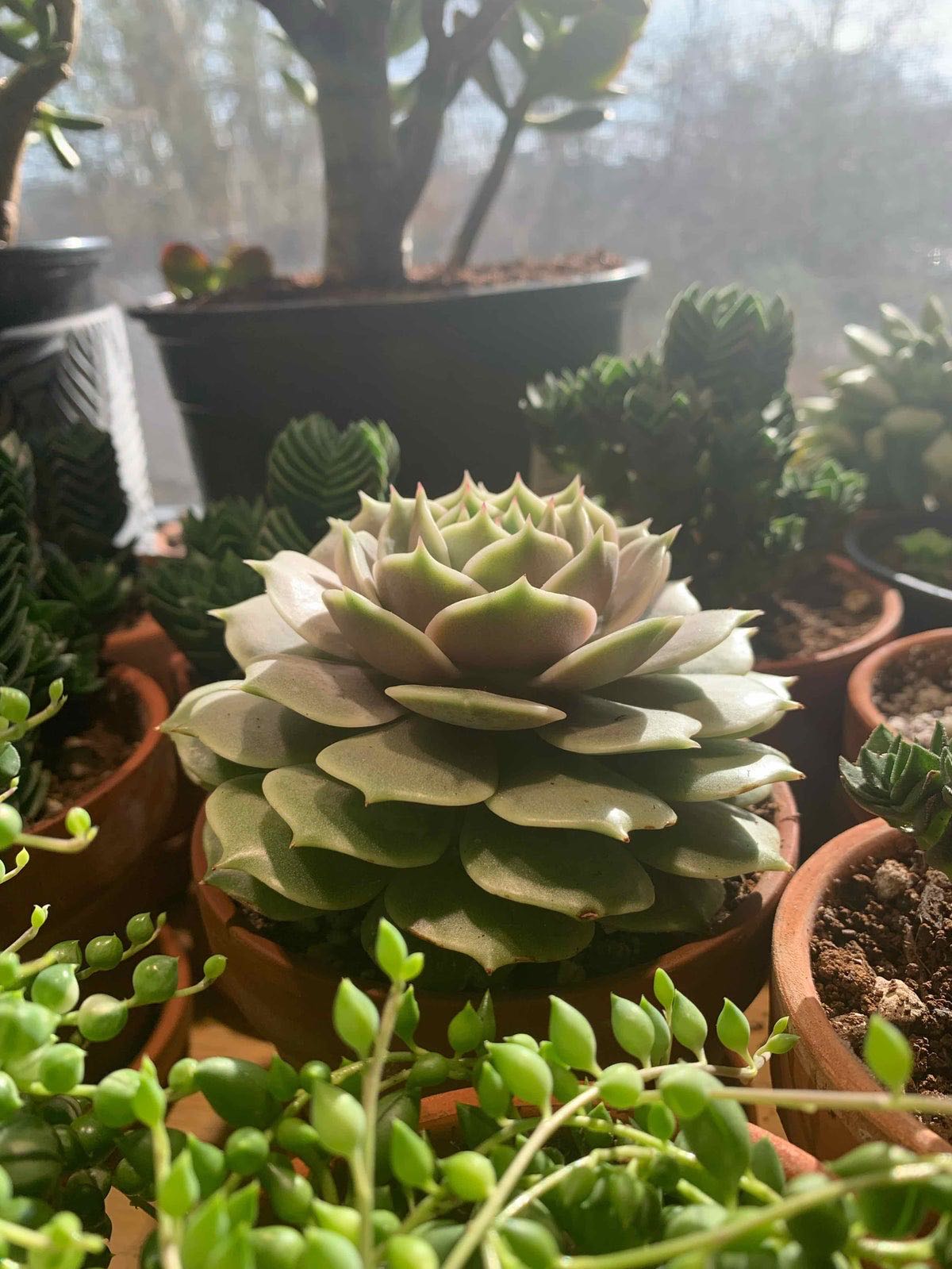 Photo from the post
