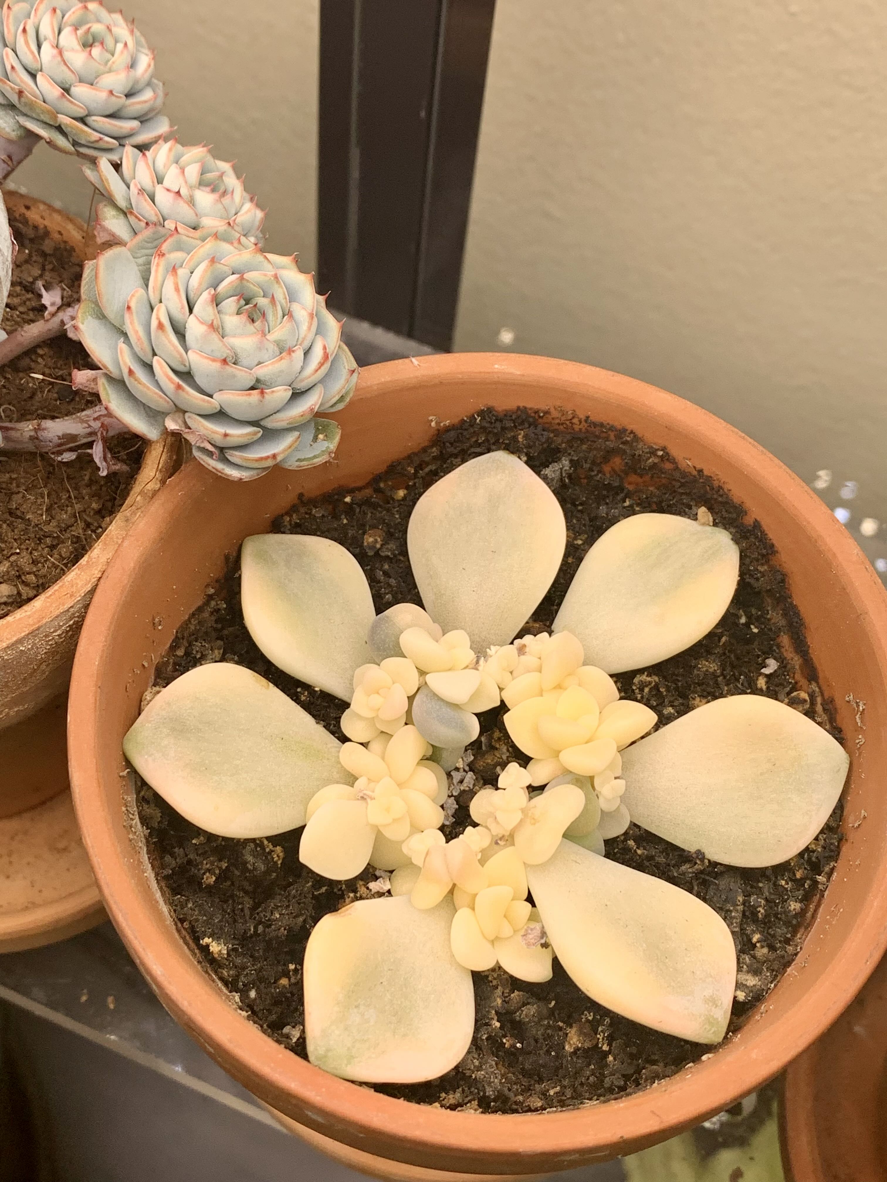 Photo from the post