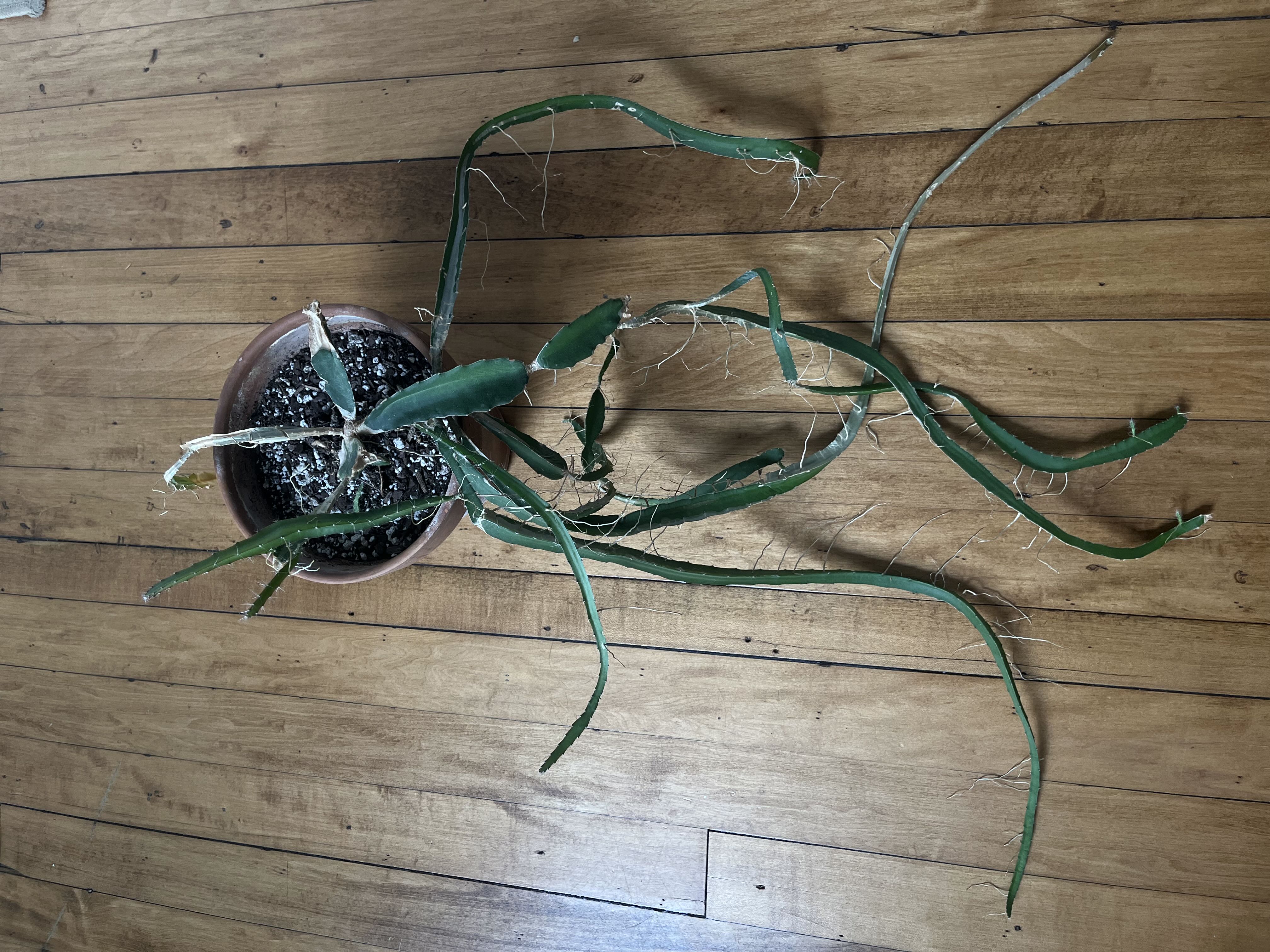 Photo from the post