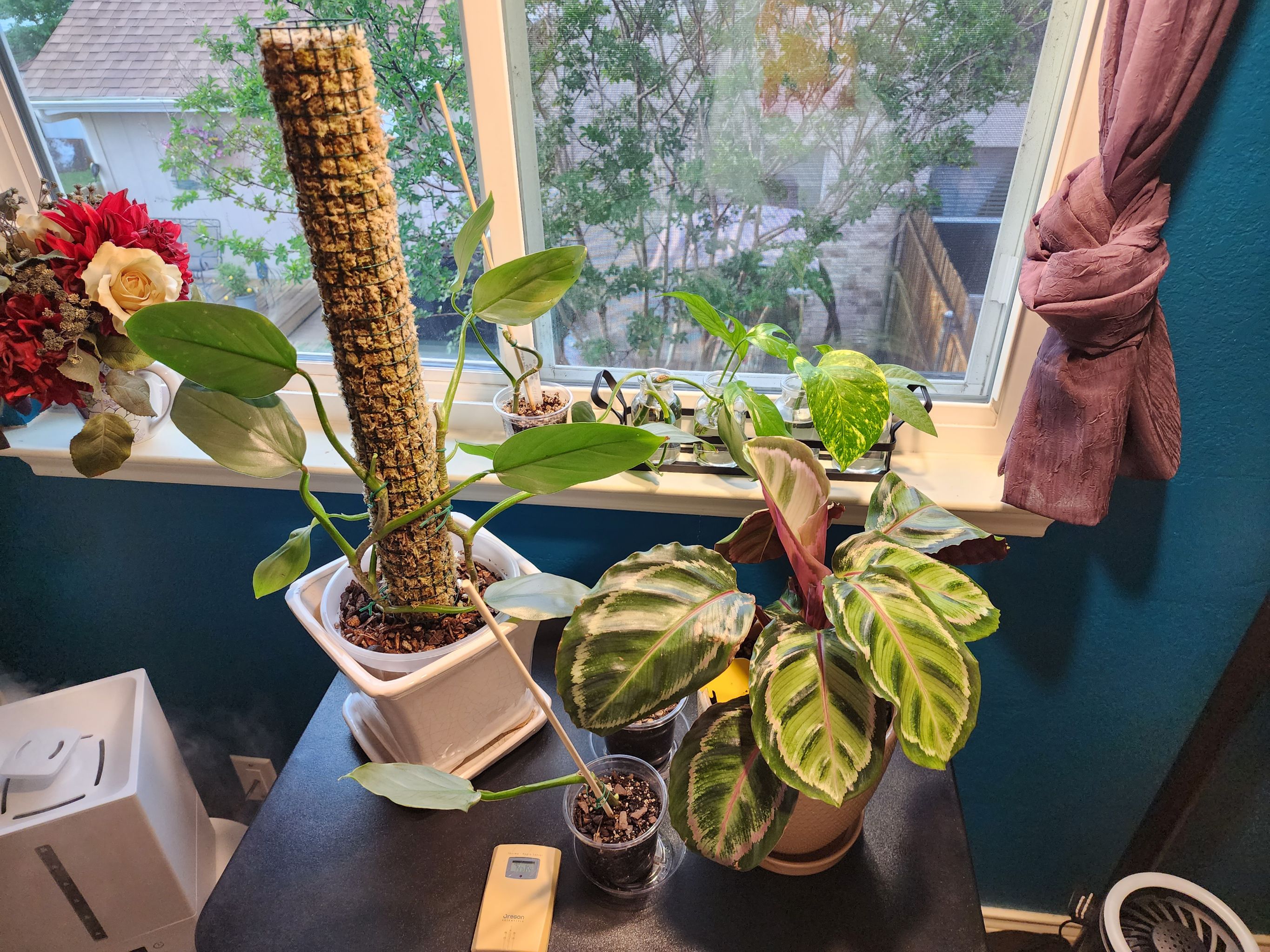 Photo from the post