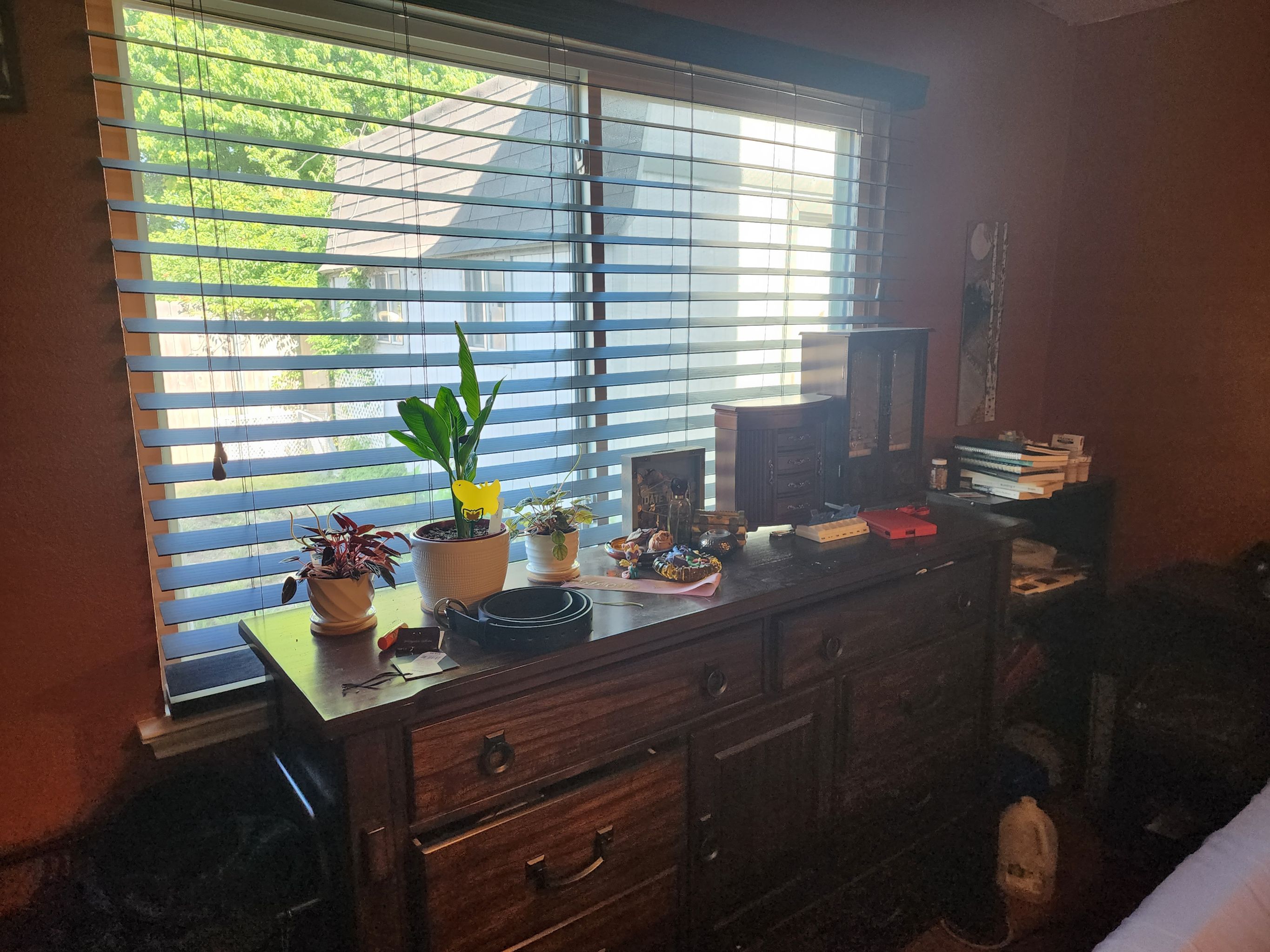 Photo from the post