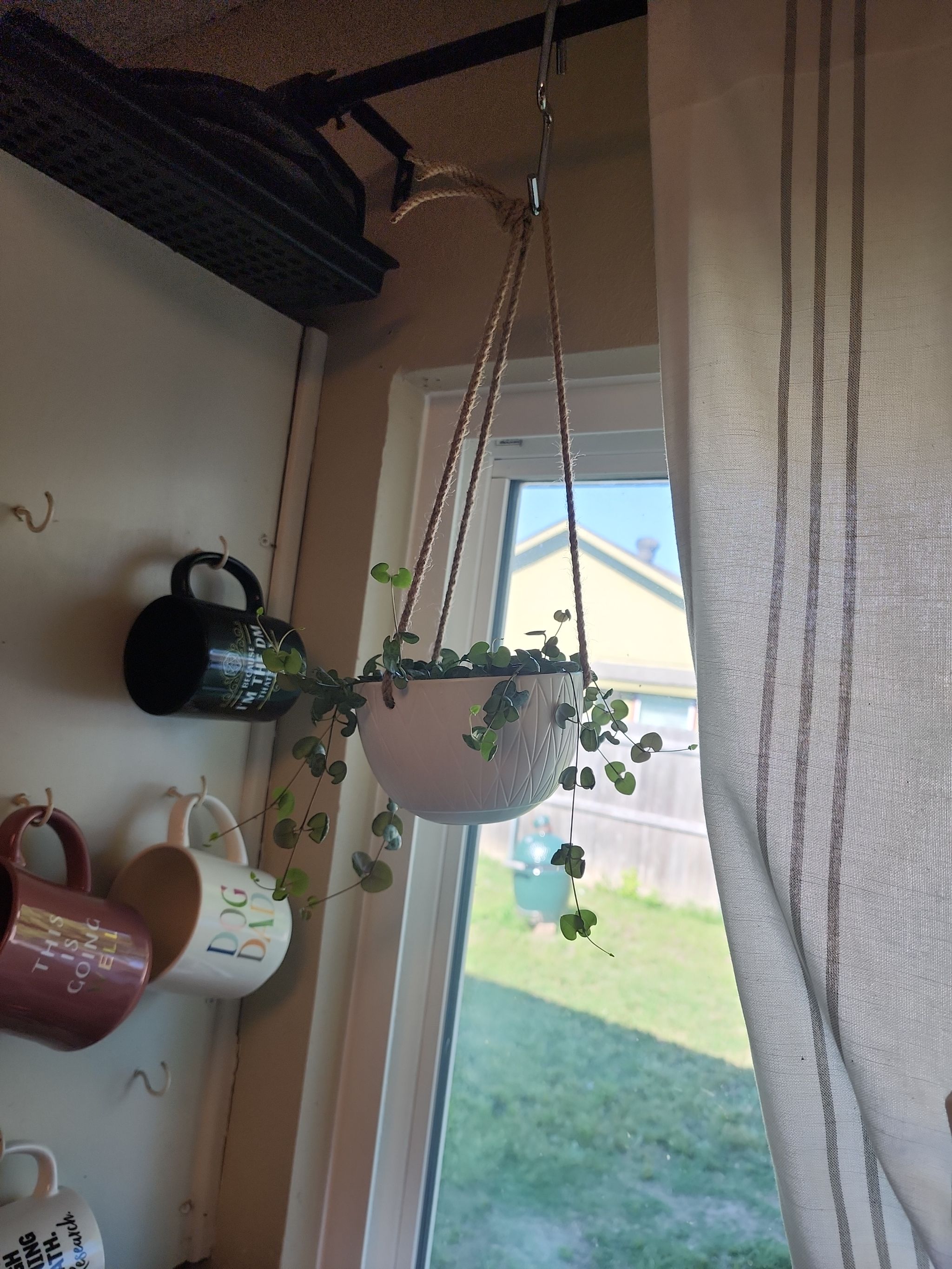 Photo from the post