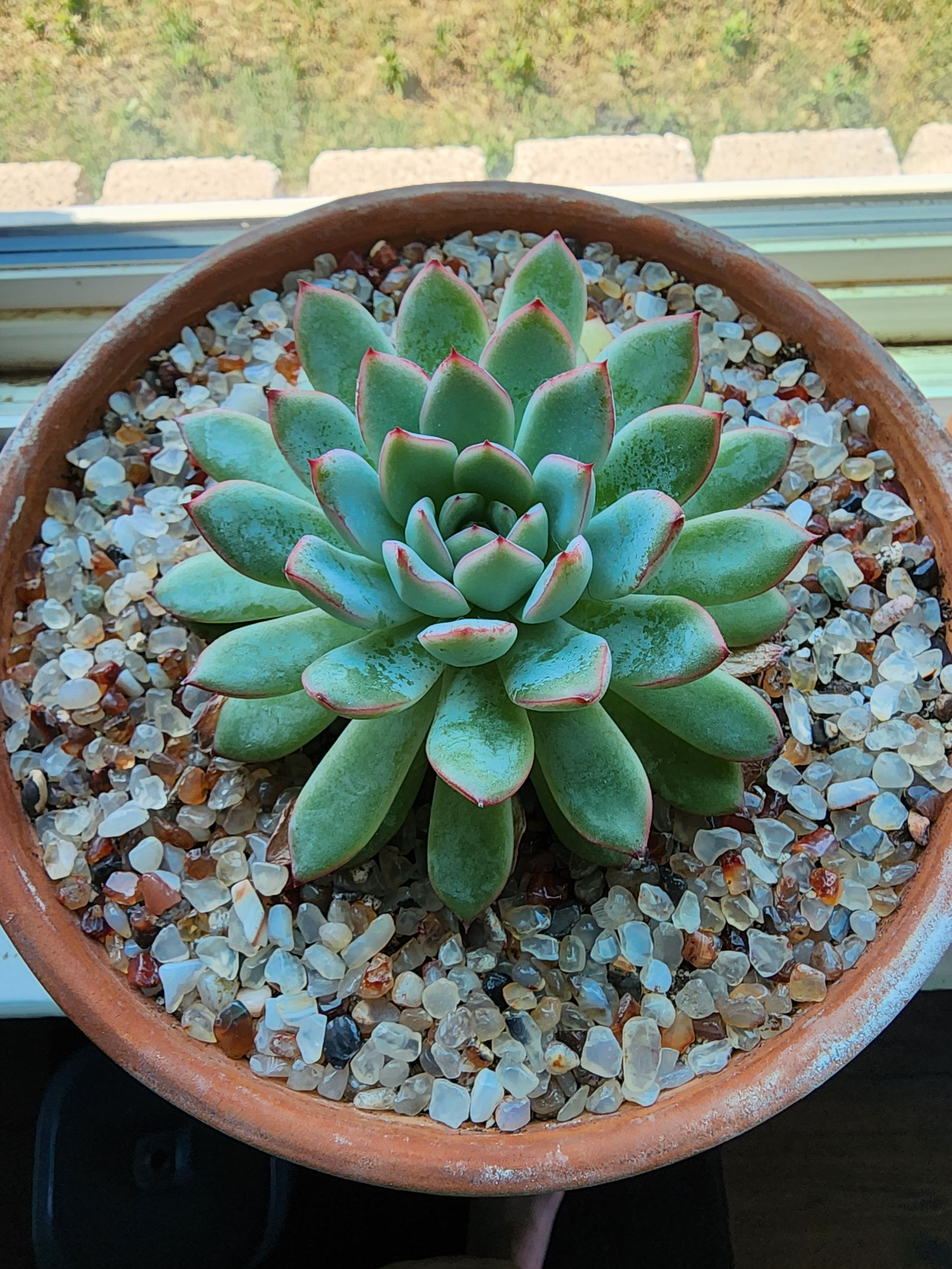 Photo from the post