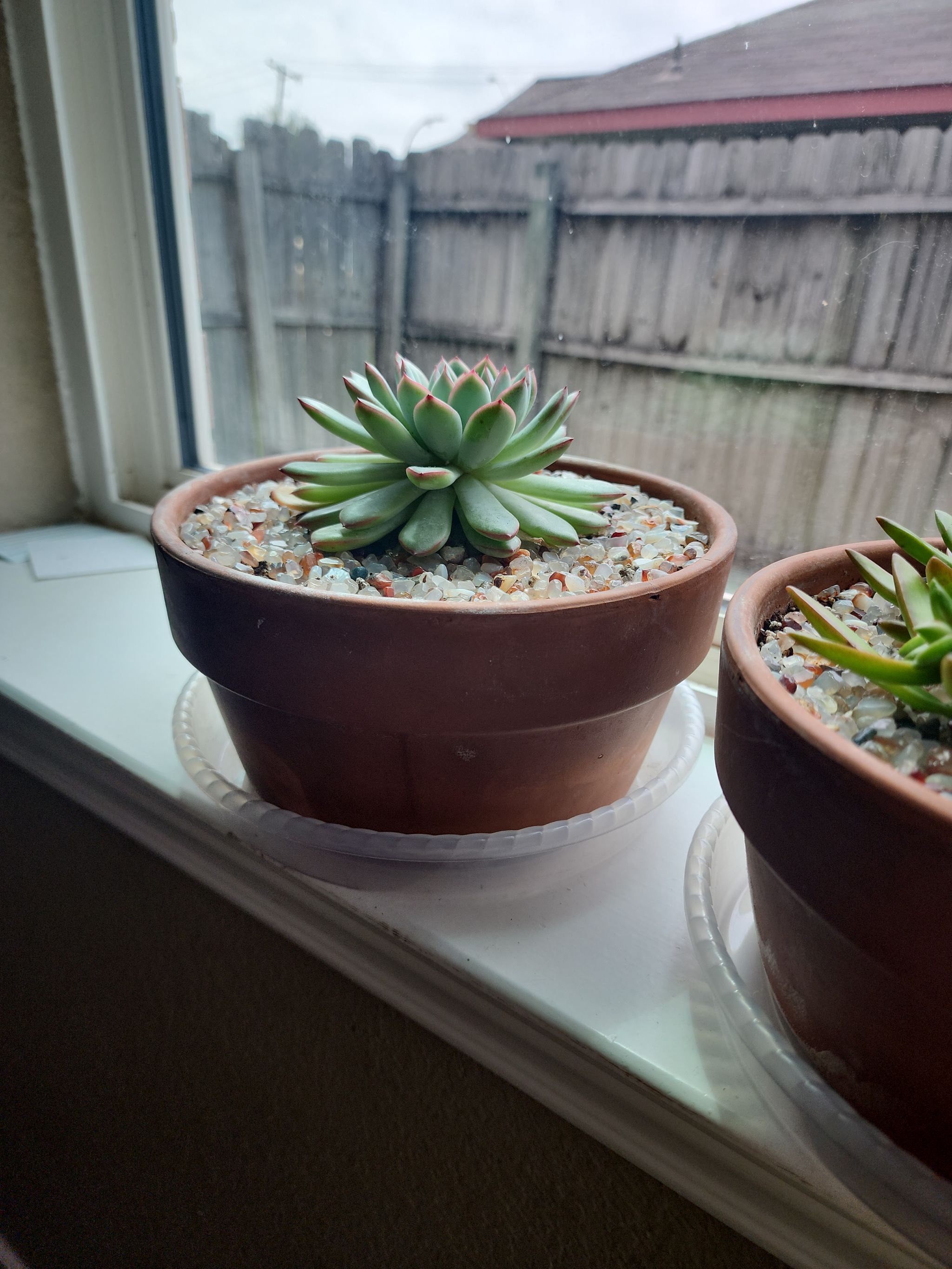 Photo from the post