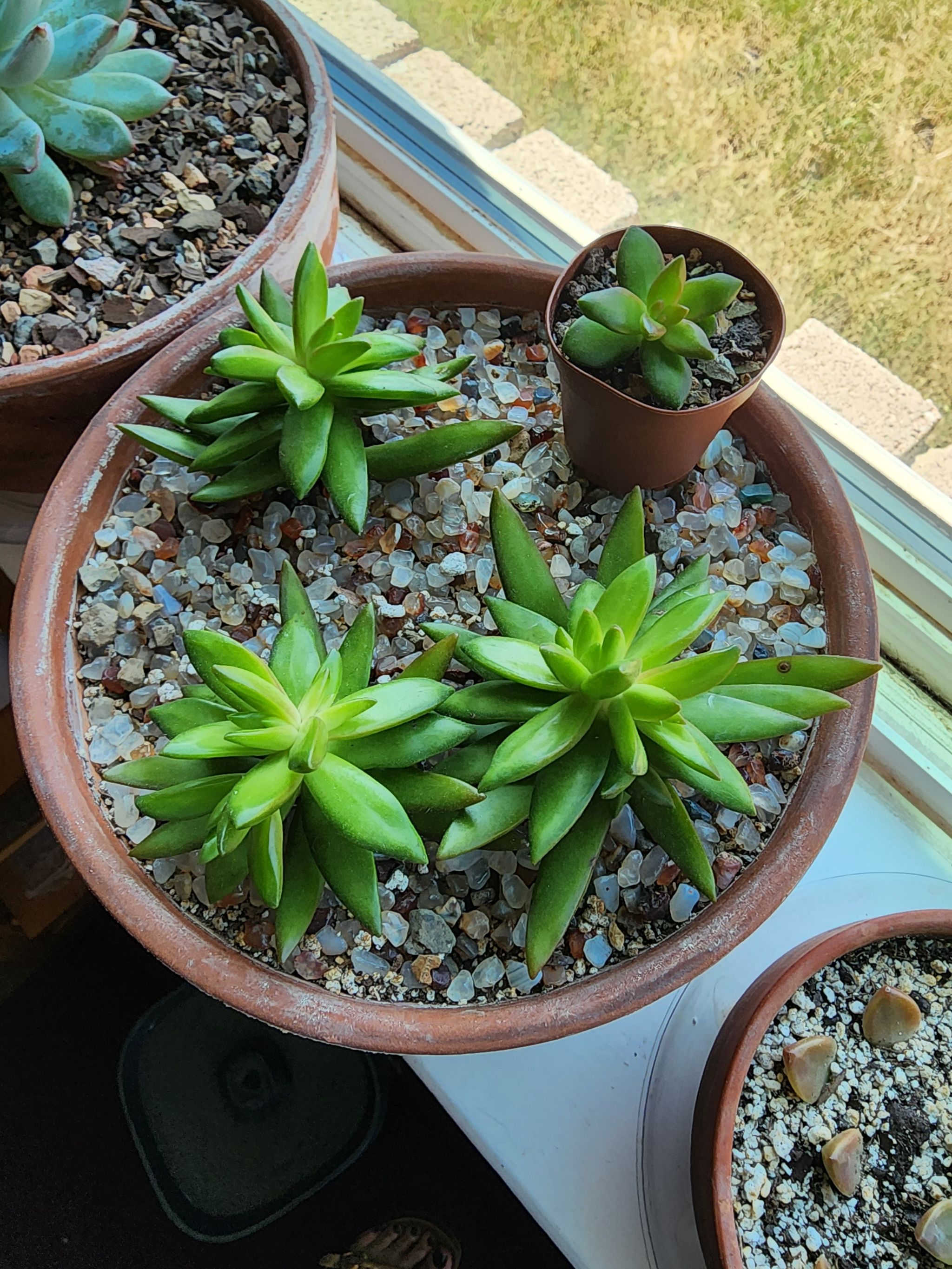 Photo from the post