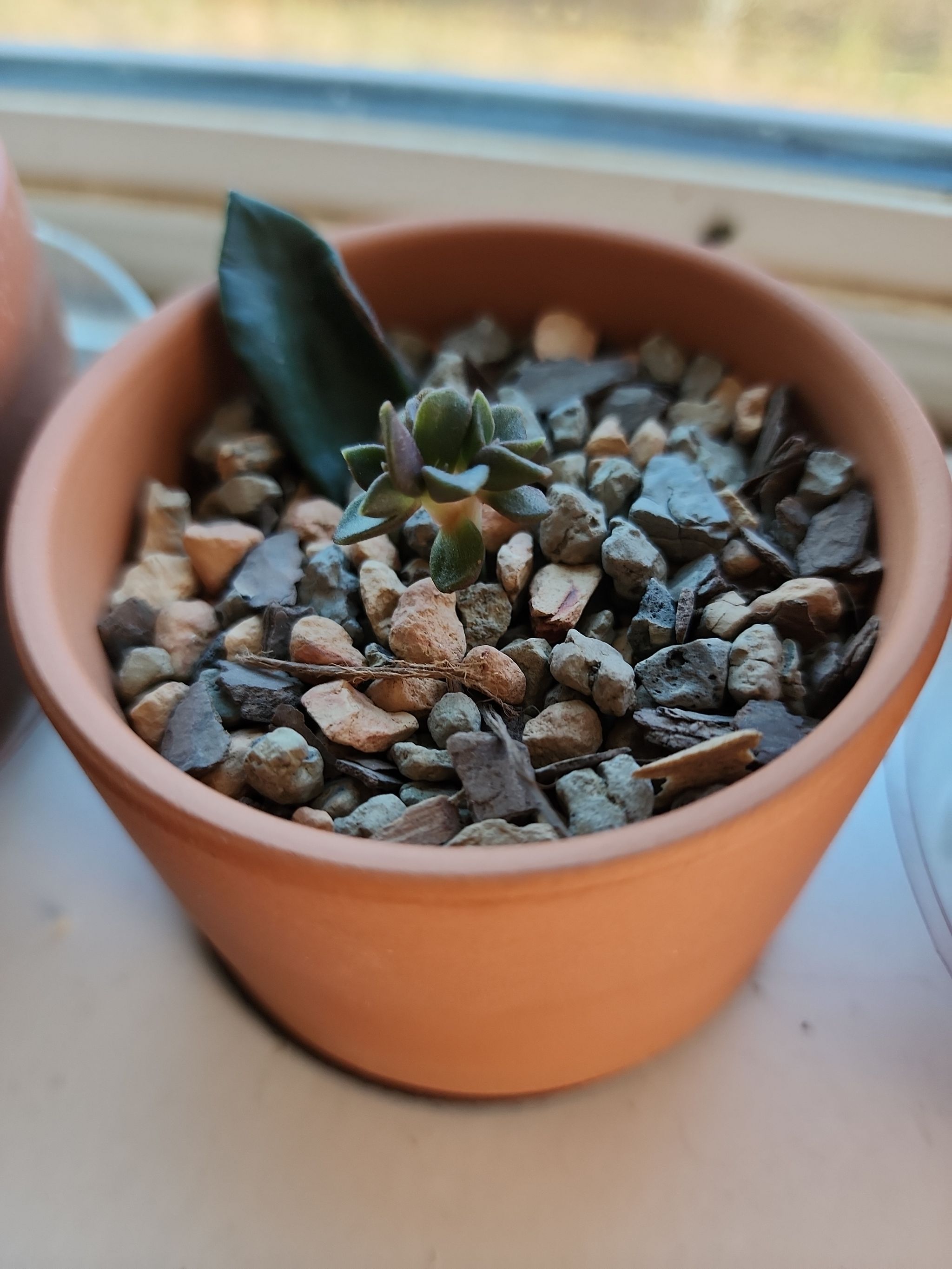 Photo from the post