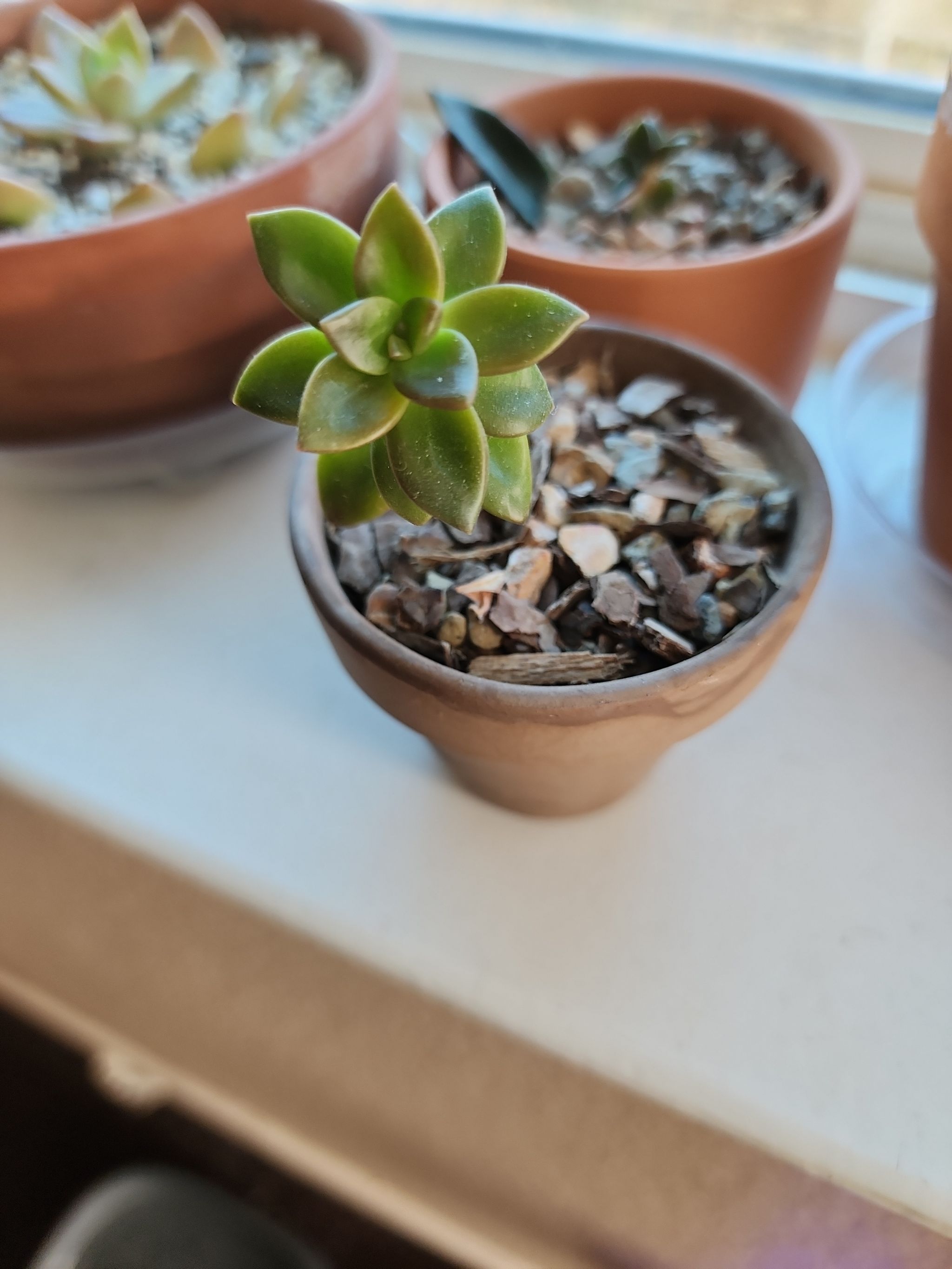 Photo from the post