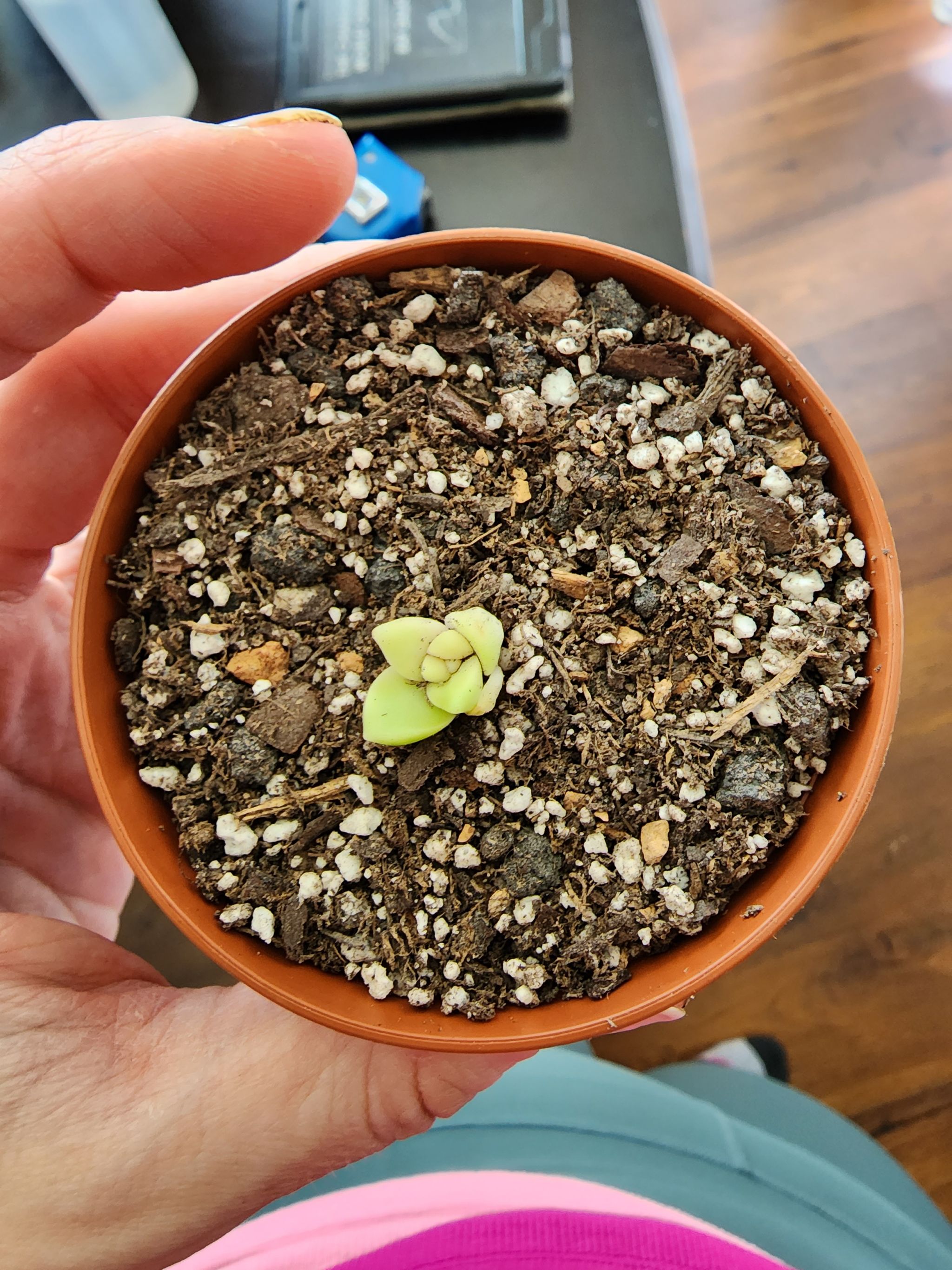 Photo from the post