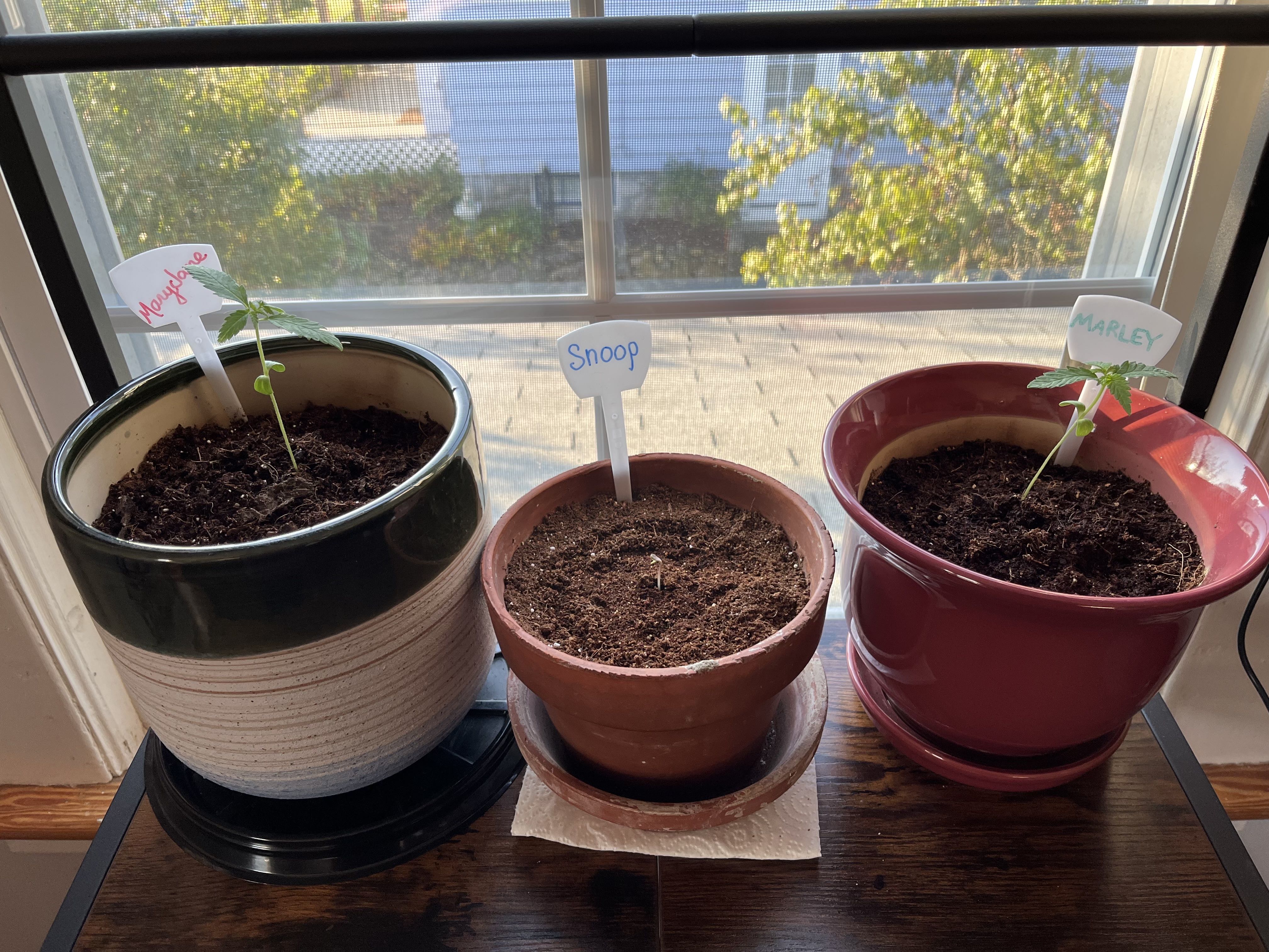 Photo from the post