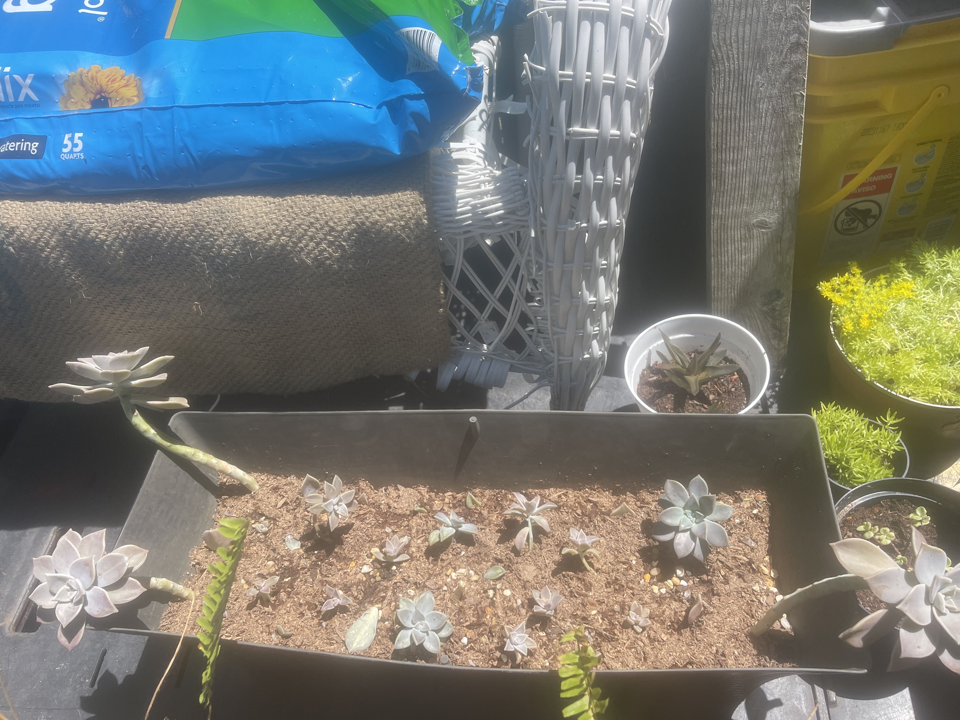 Photo from the post