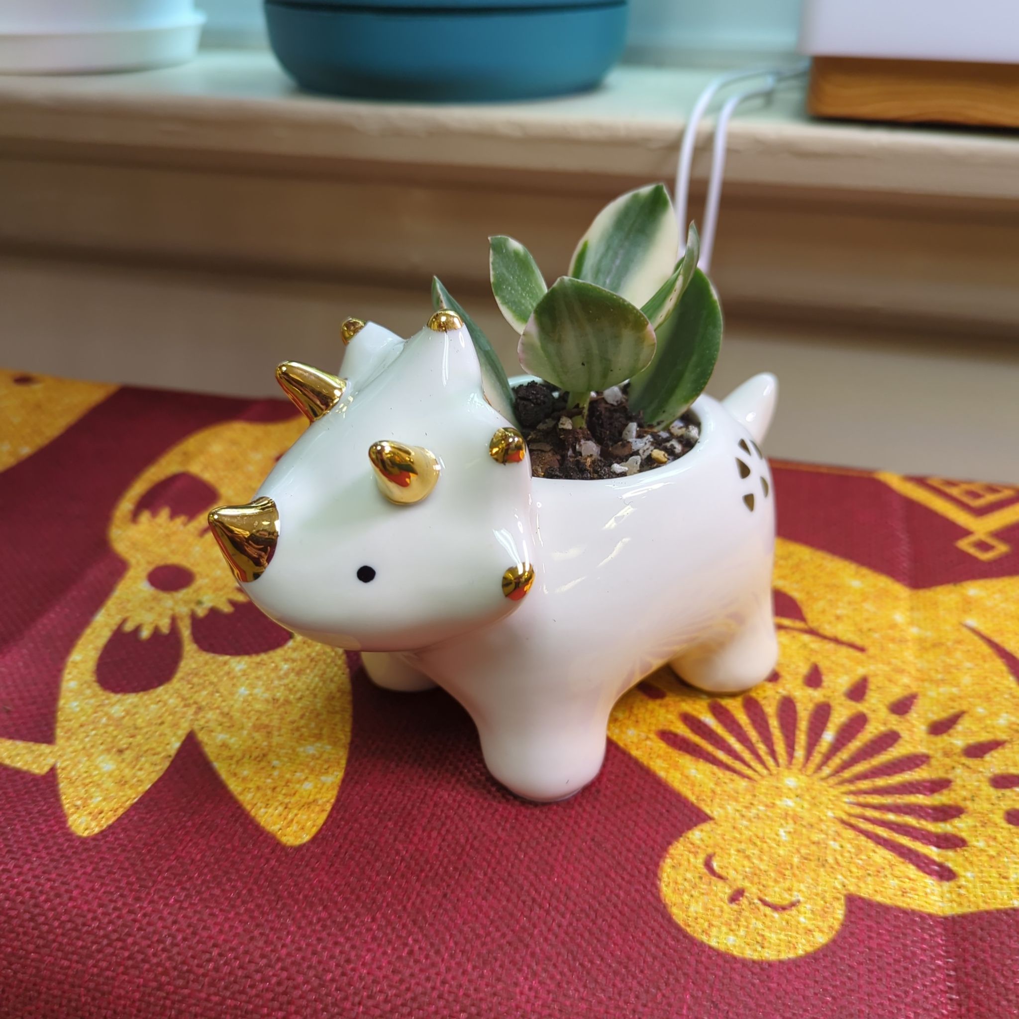 Variegated jade plant in a decorative dinosaur-shaped pot on a patterned surface.