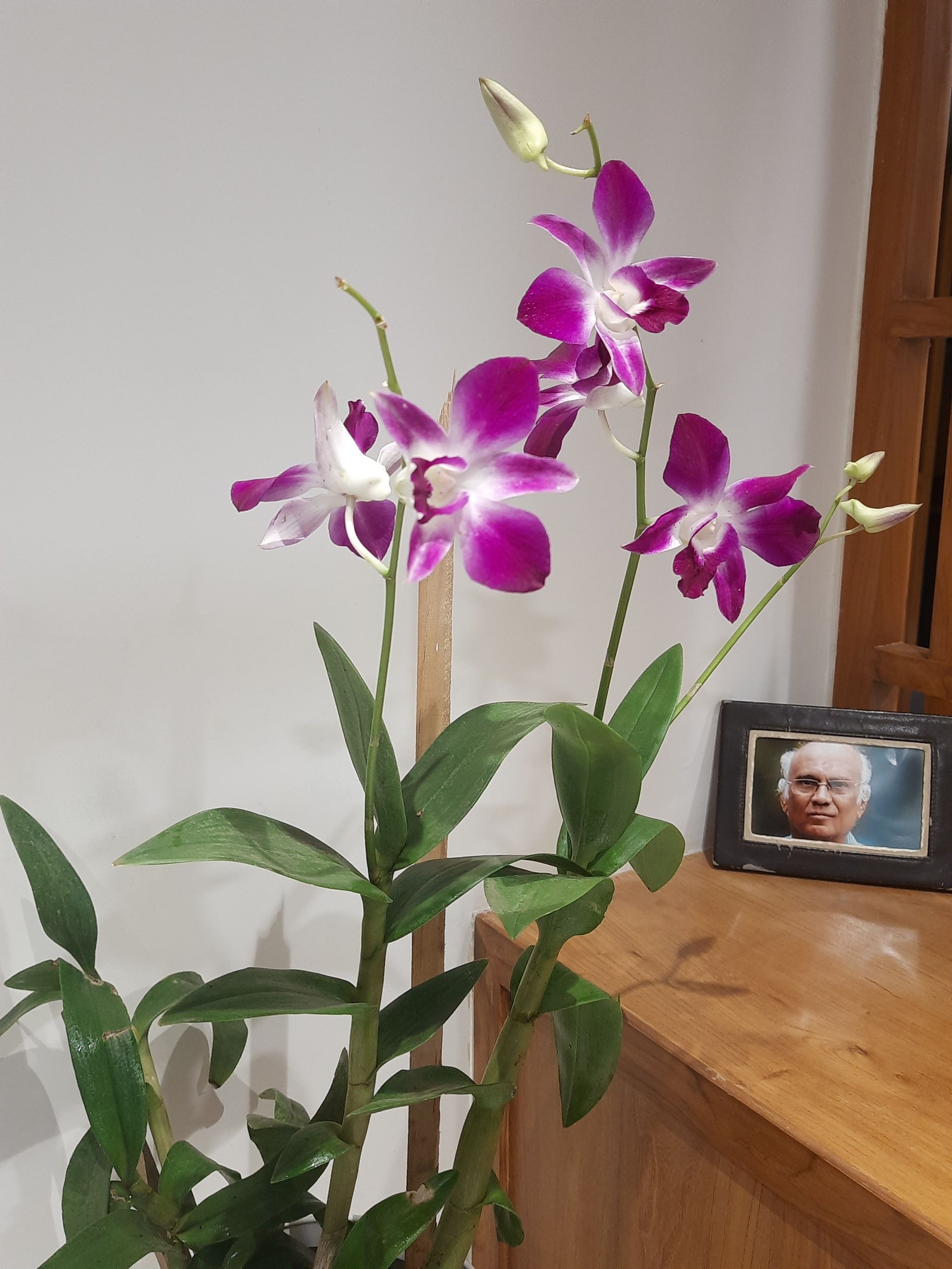 Photo from the post