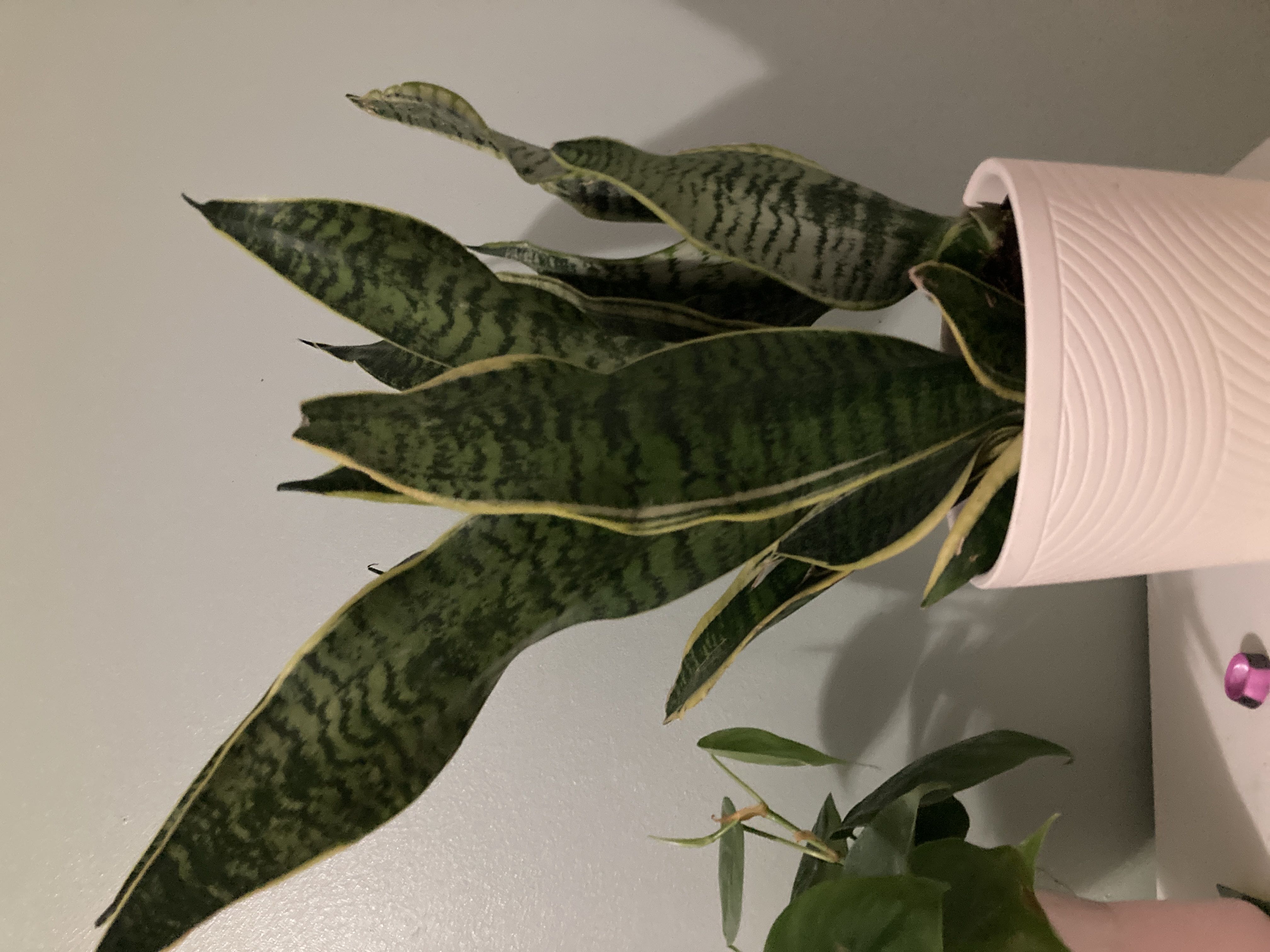 Photo from the post