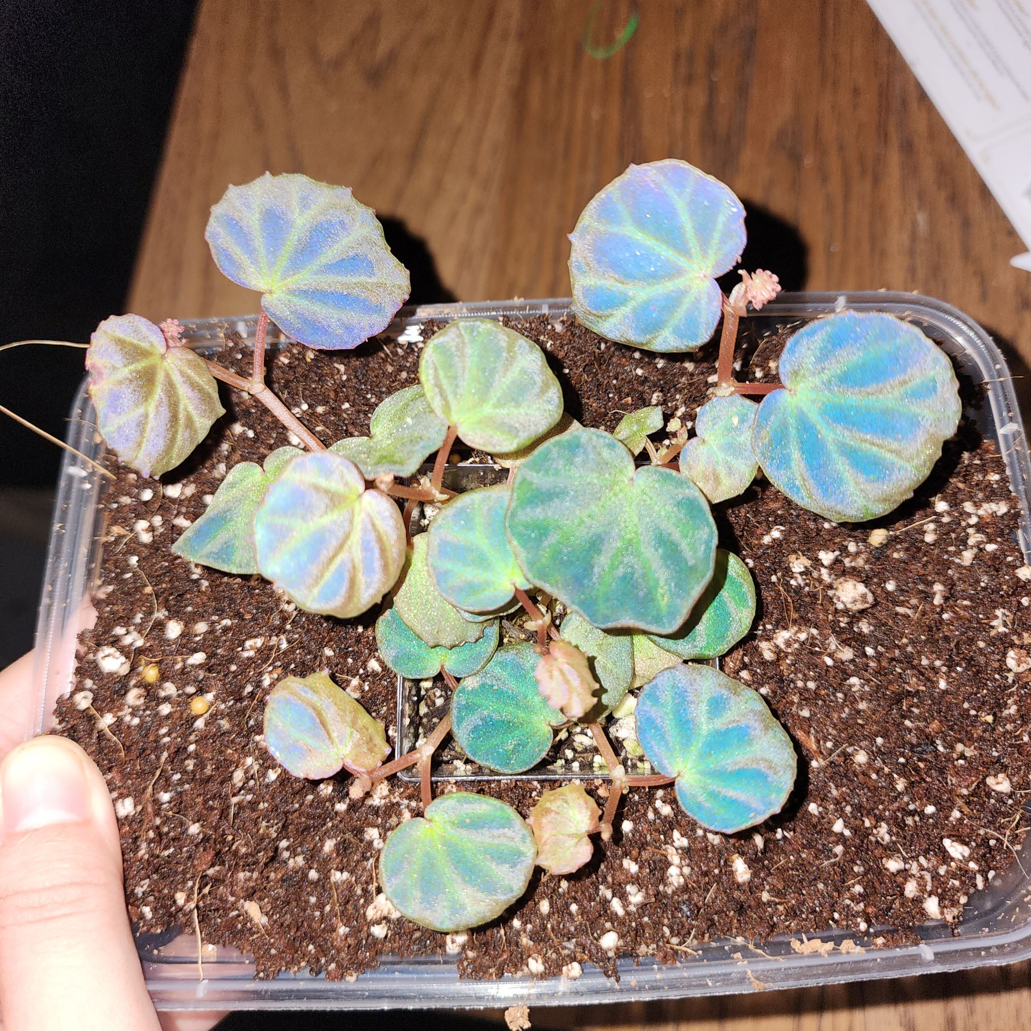 Photo from the post
