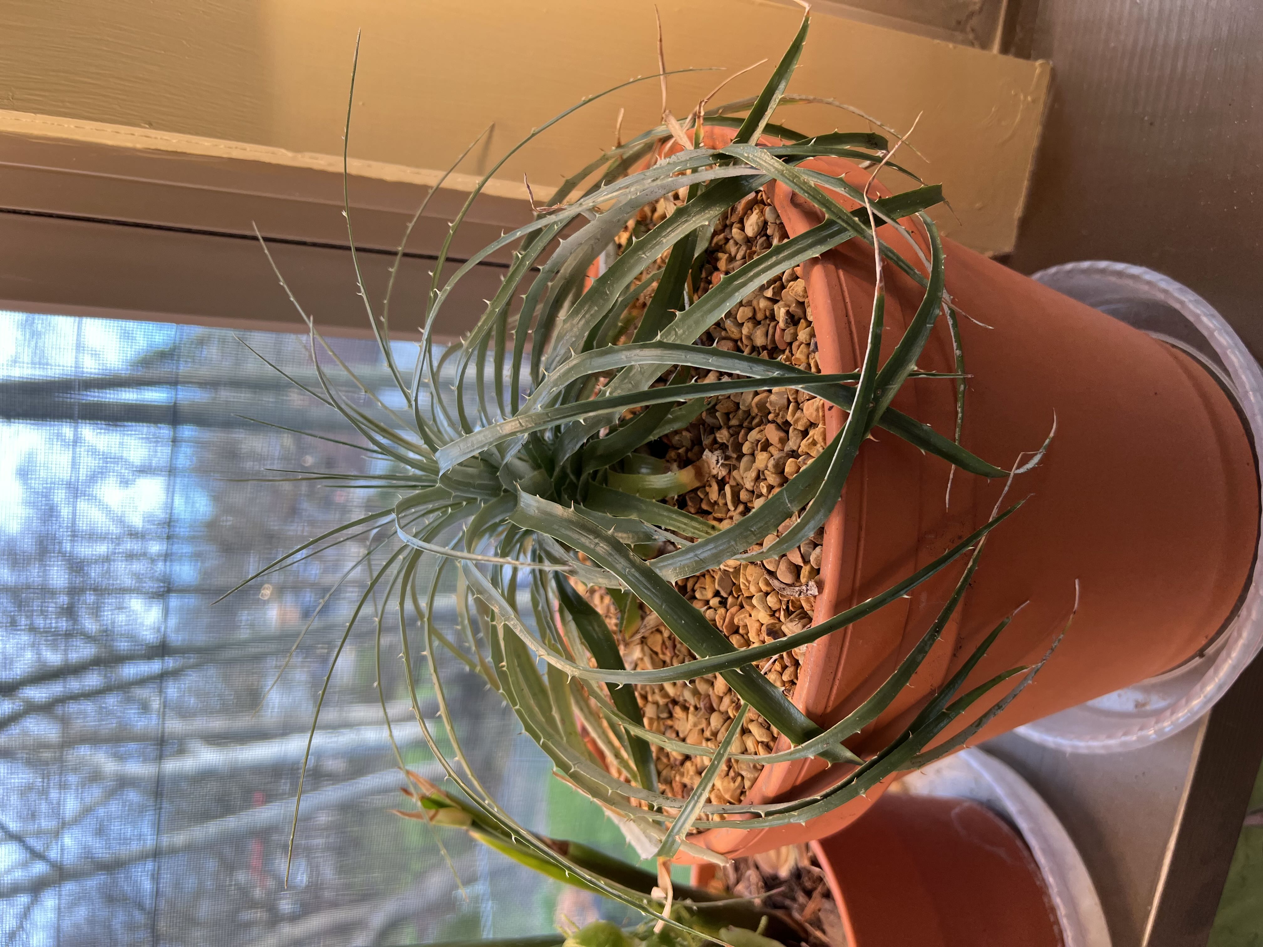 Photo from the post