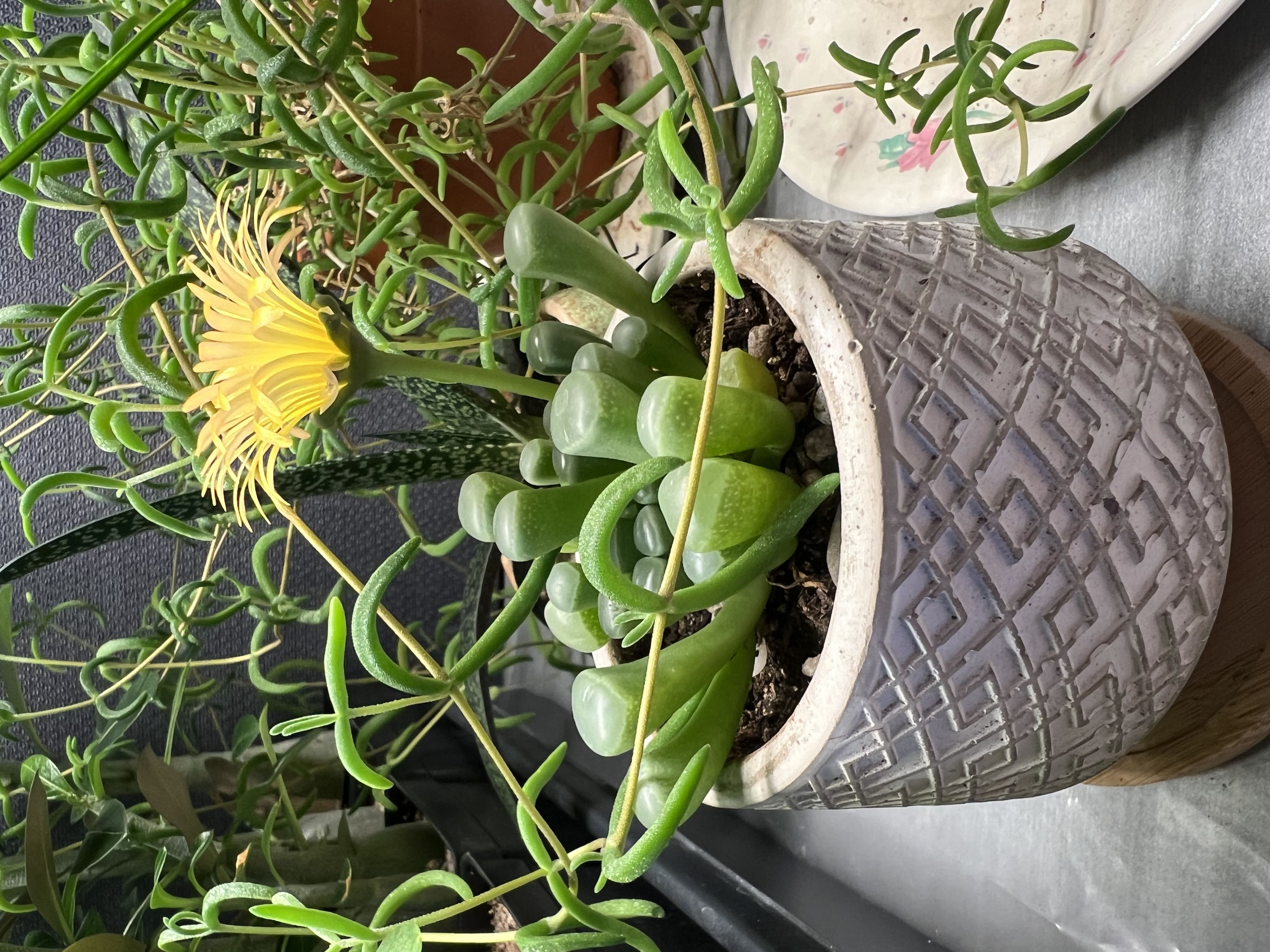 Photo from the post