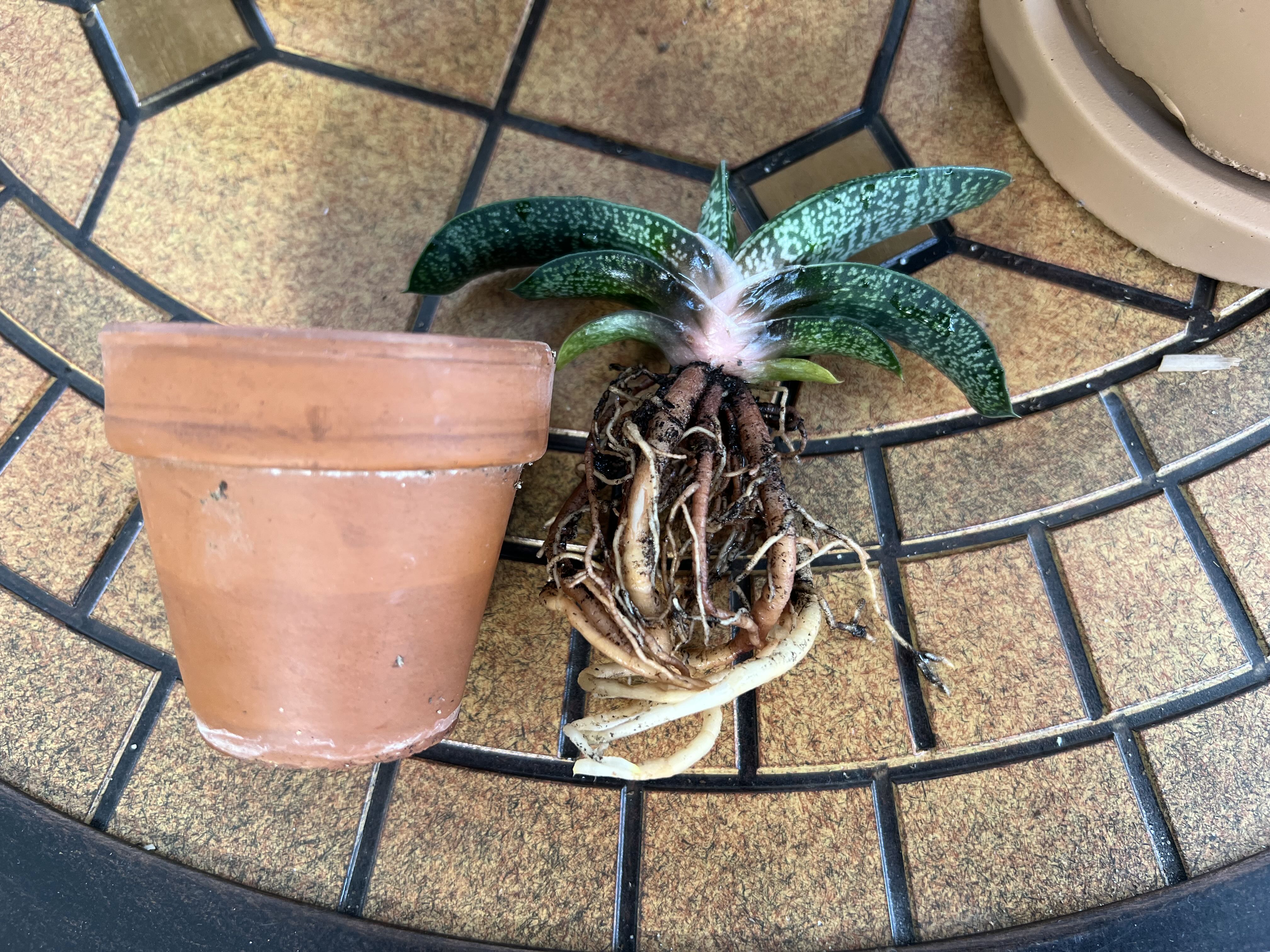 Photo from the post