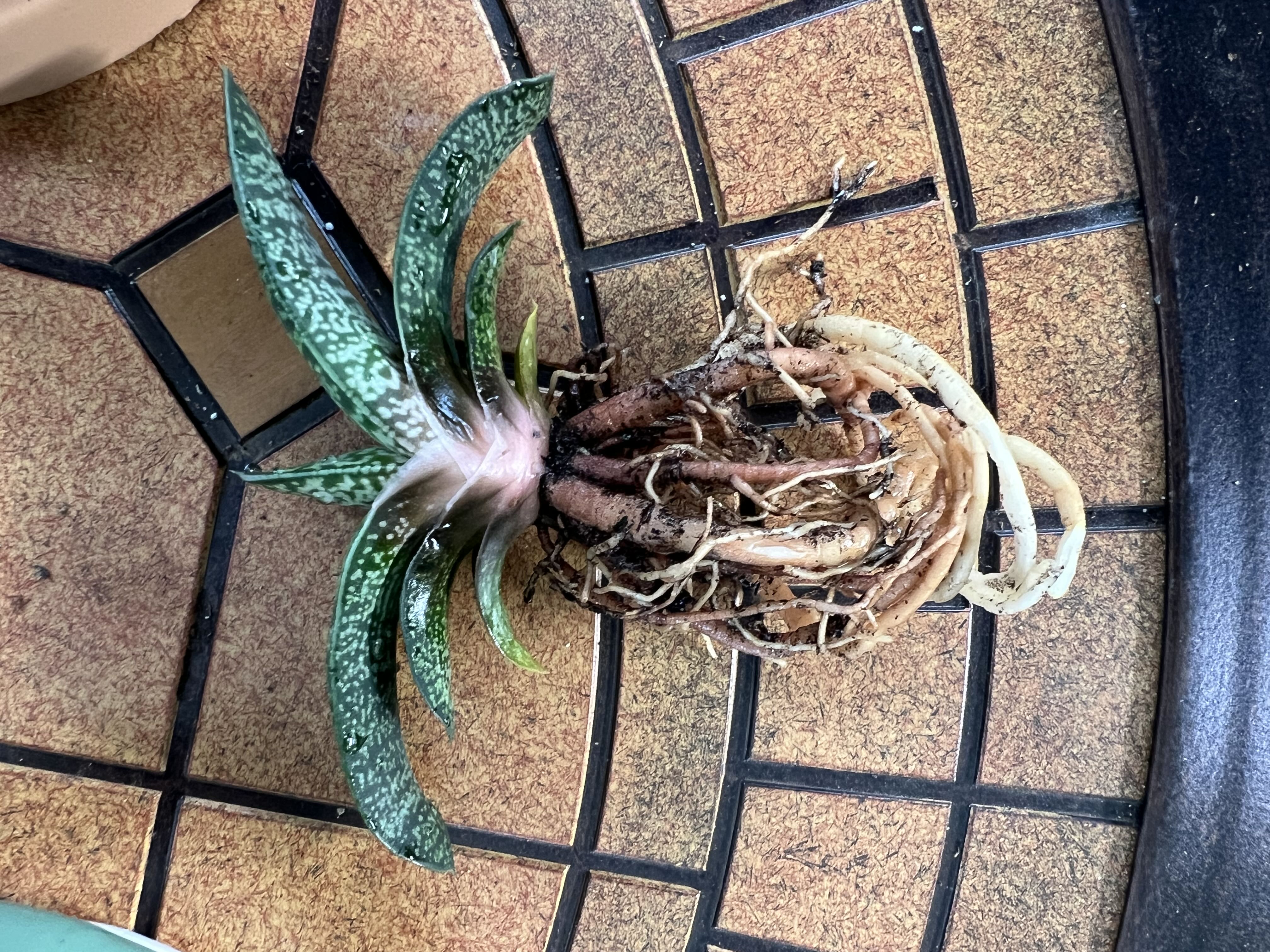Photo from the post