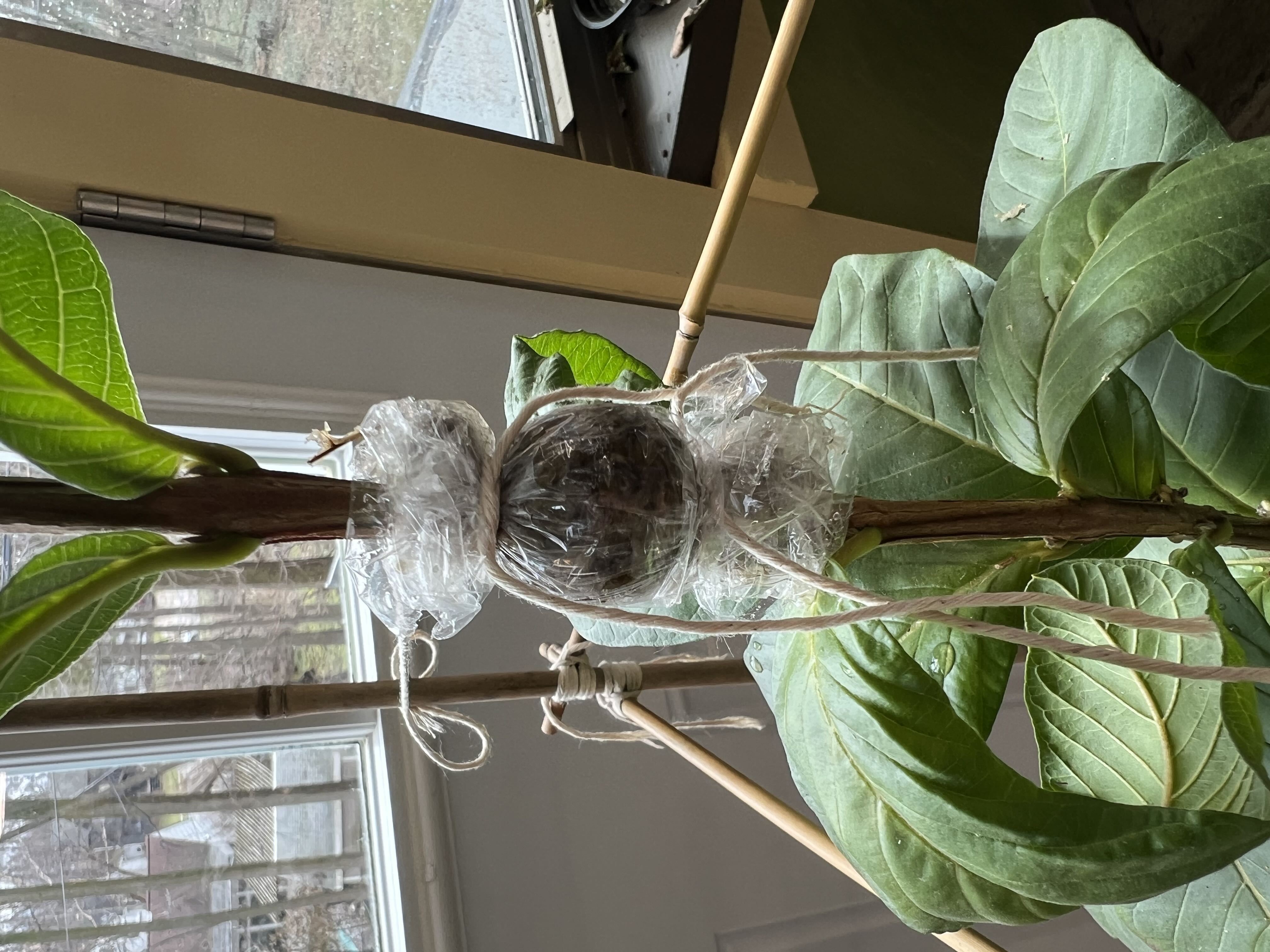 Photo from the post