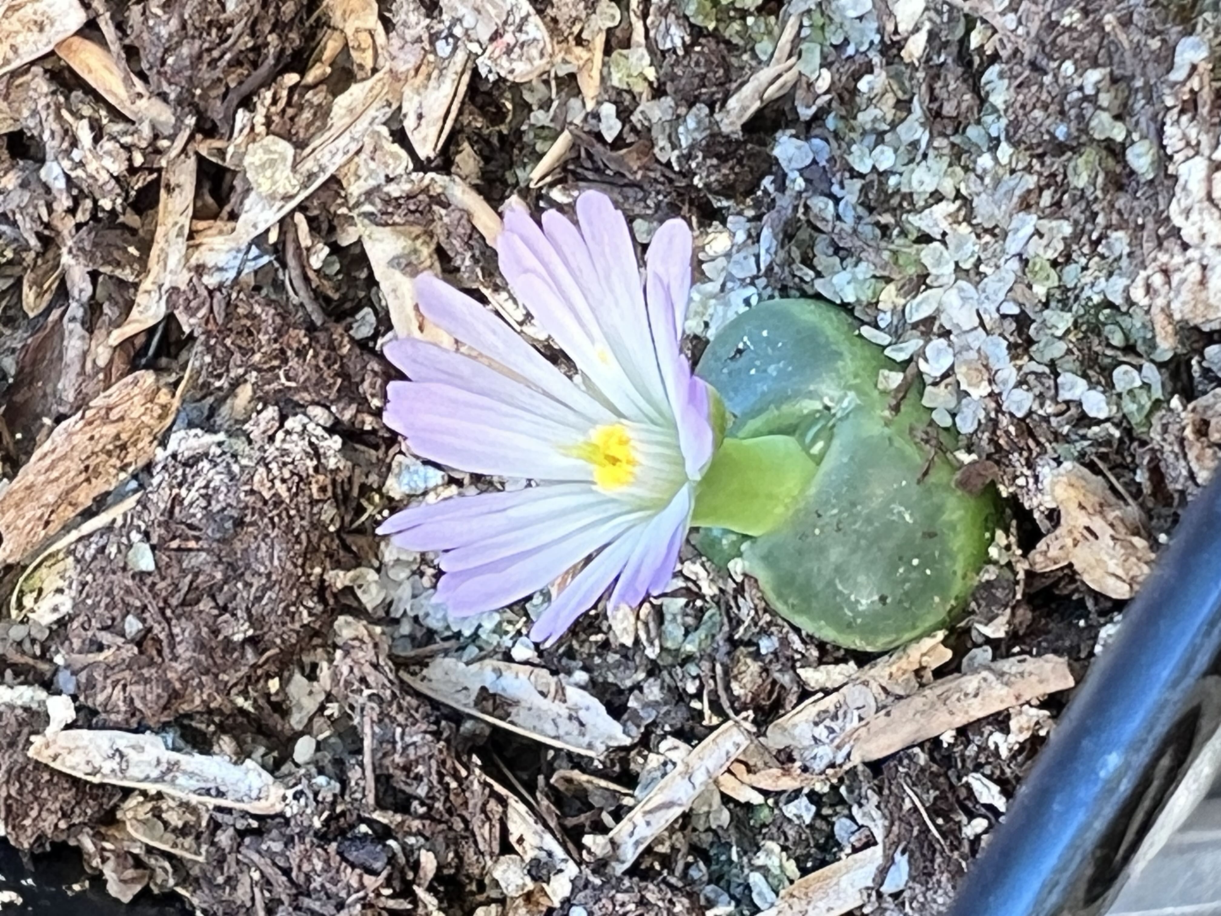 Photo from the post