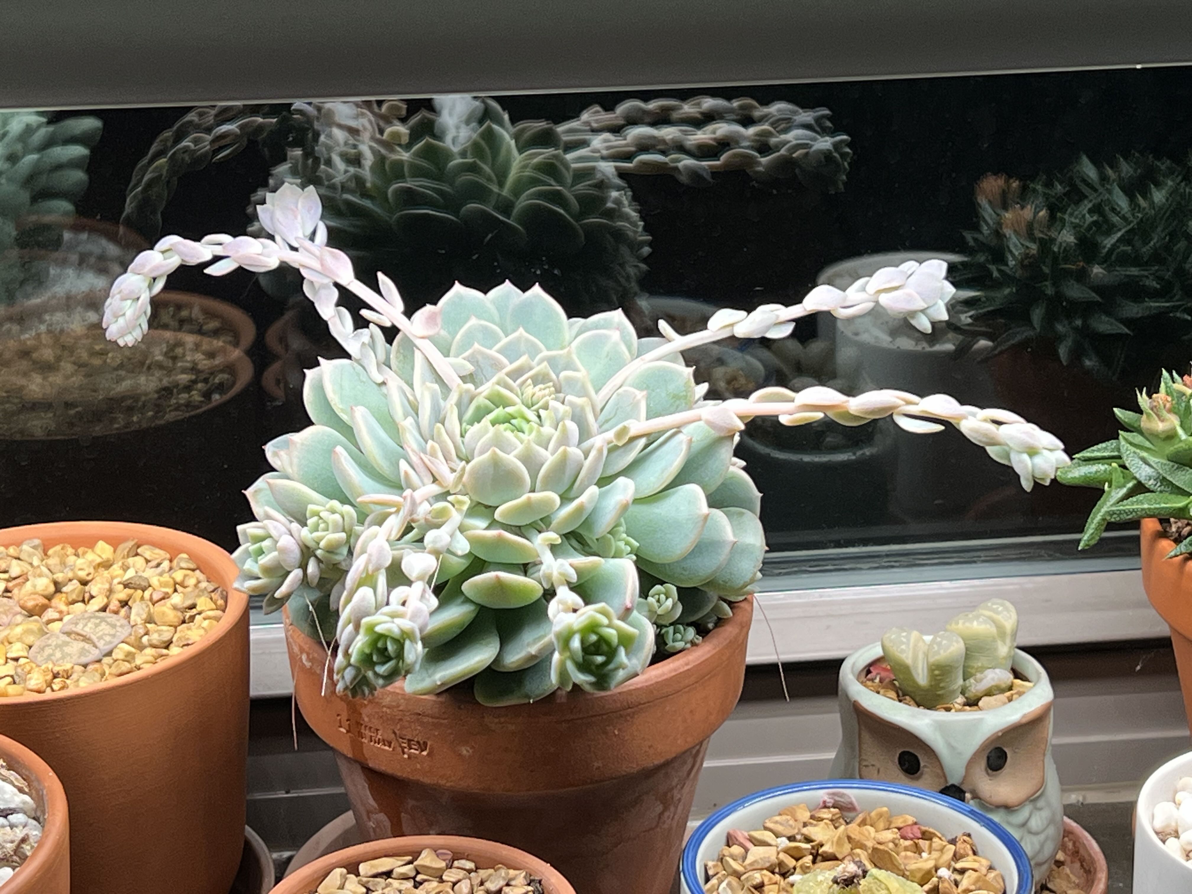 Photo from the post