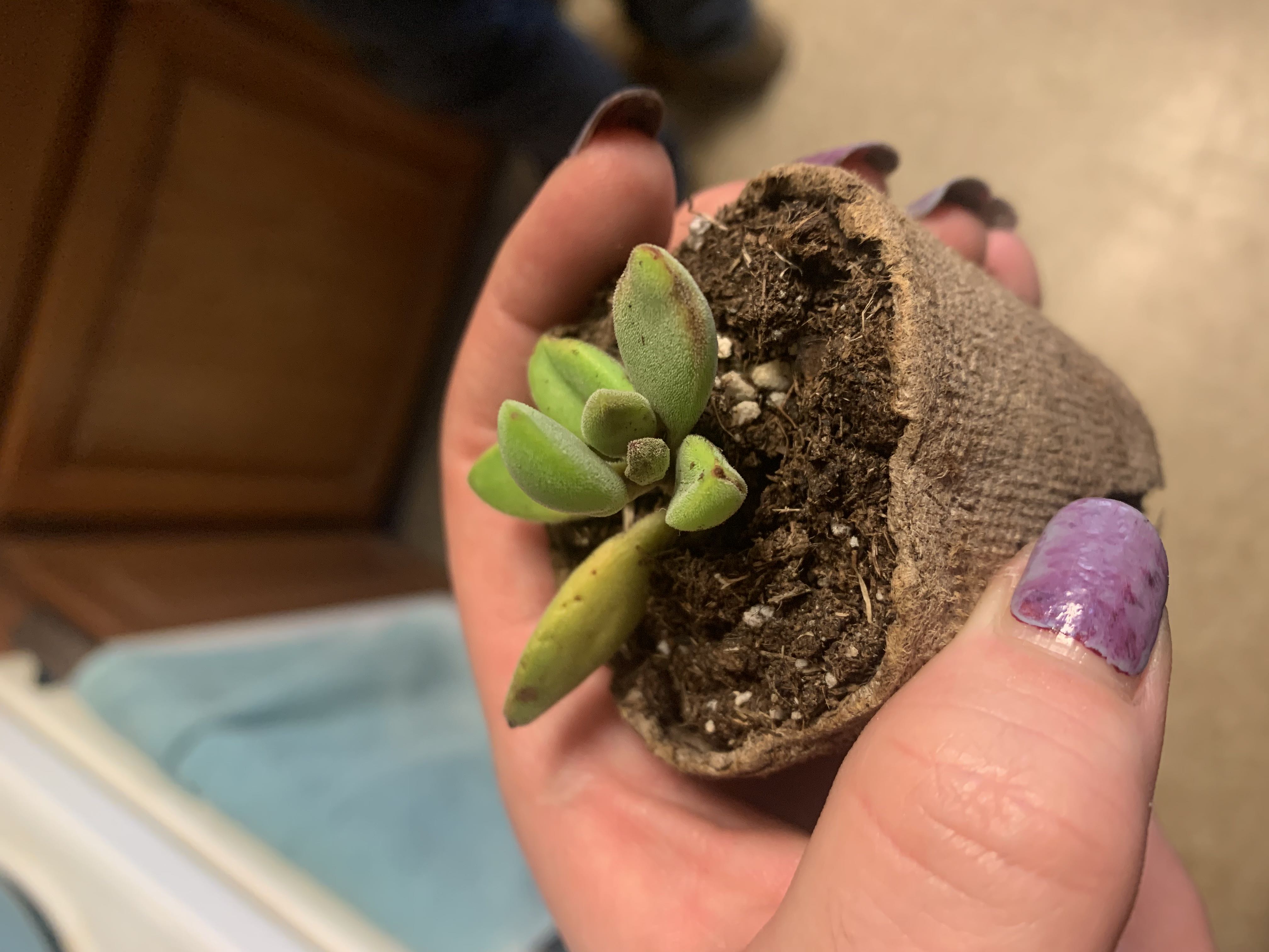 Photo from the post