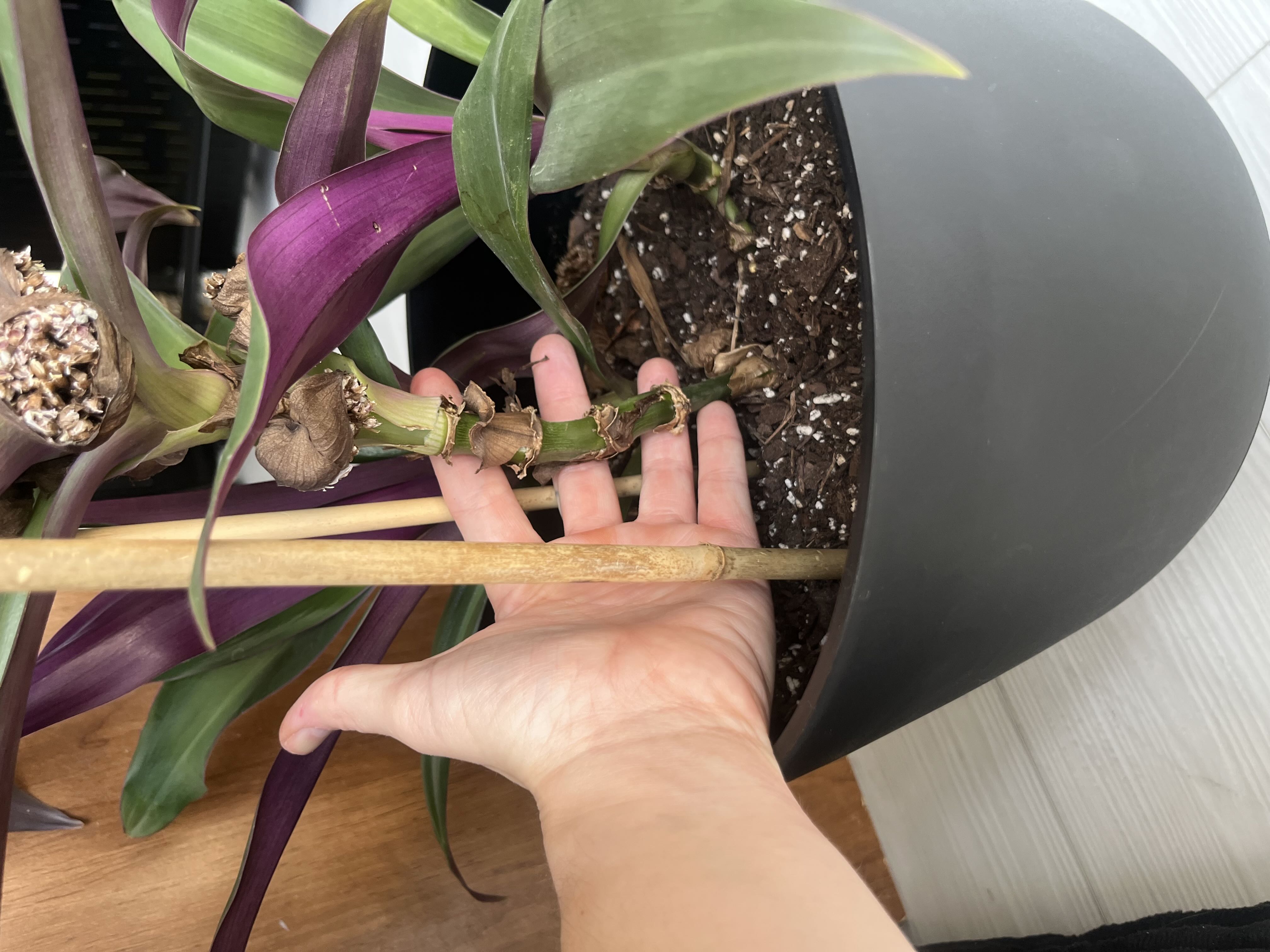 Photo from the post