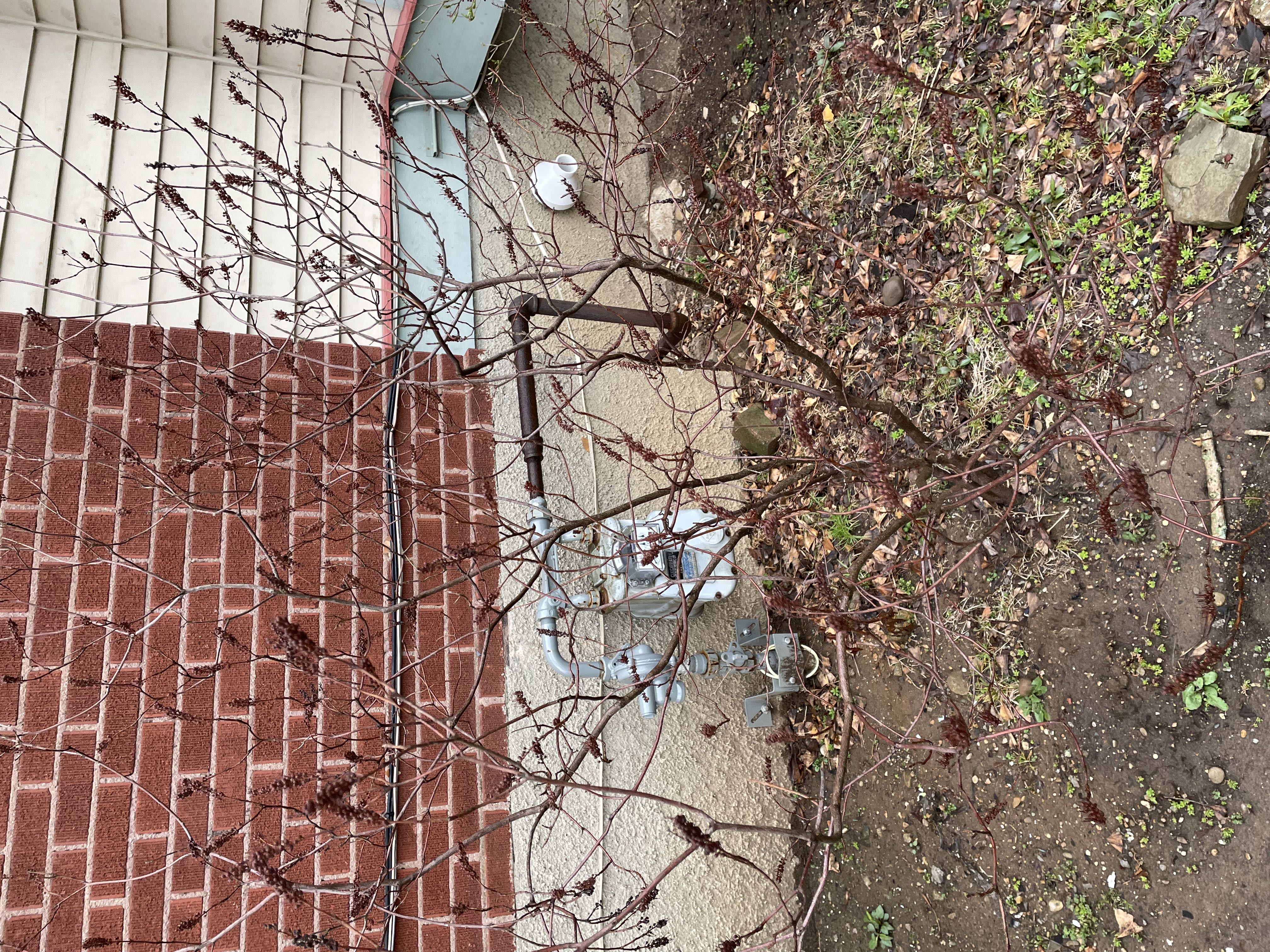 Photo from the post