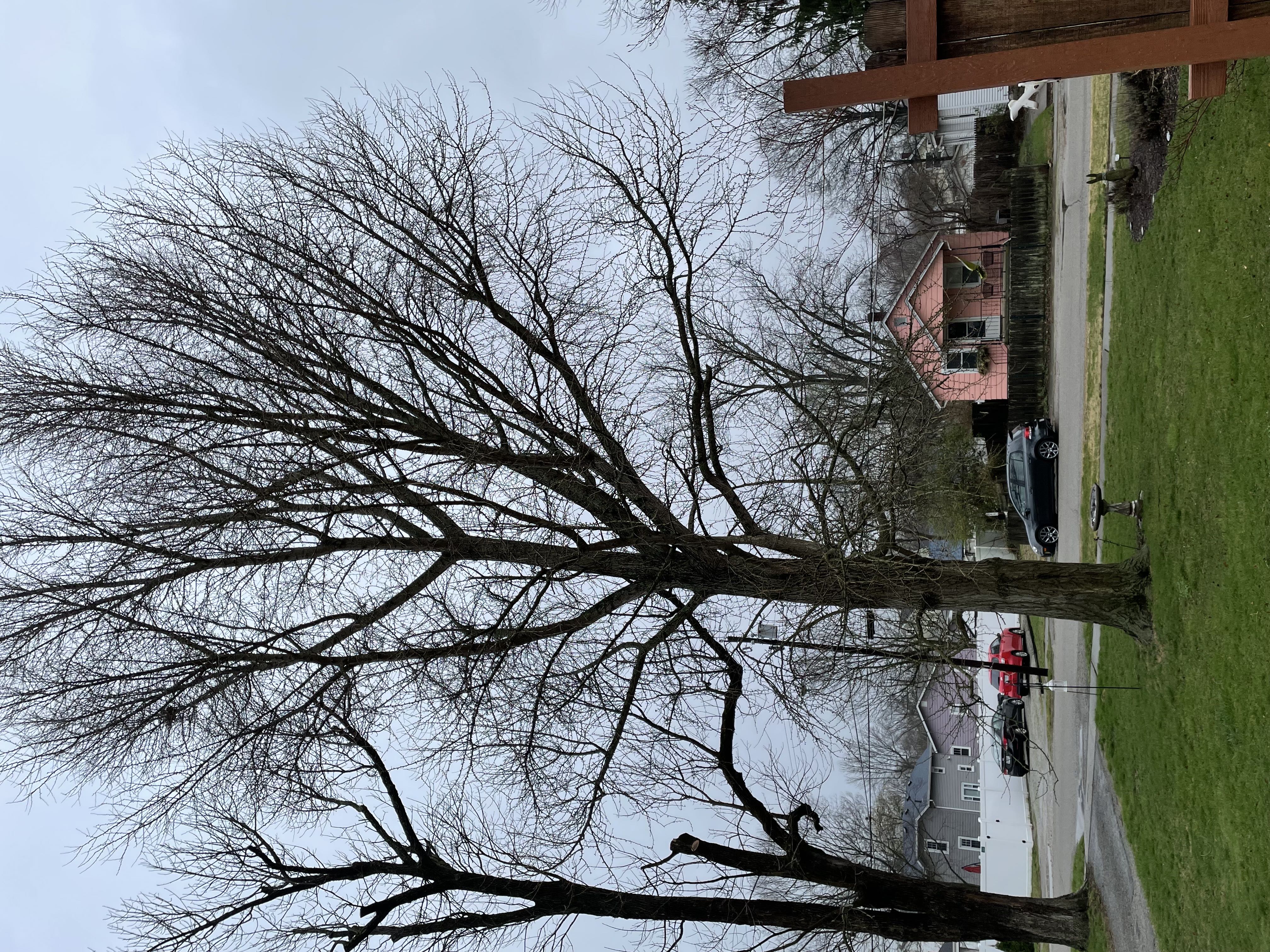 Photo from the post