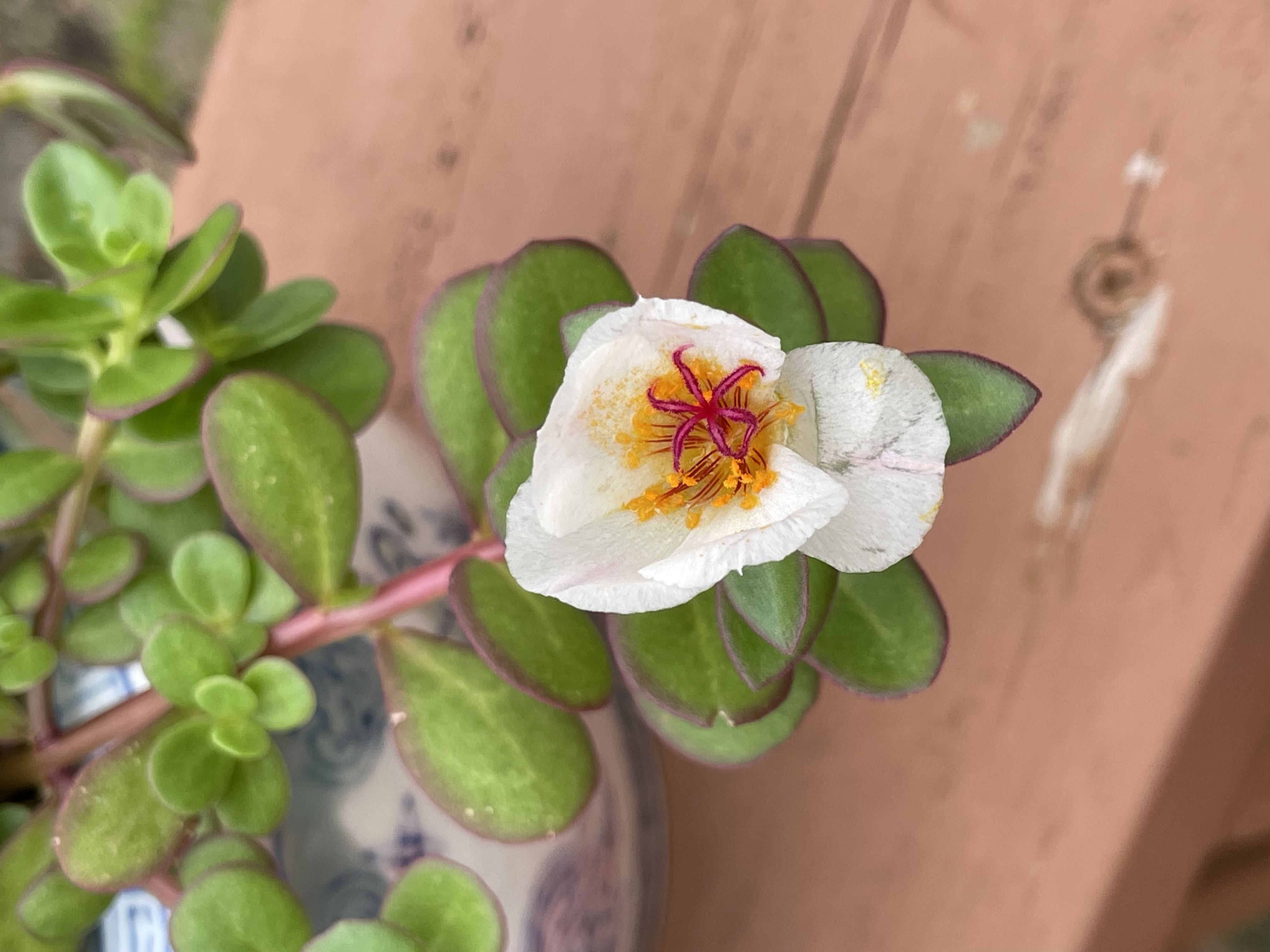 Photo from the post