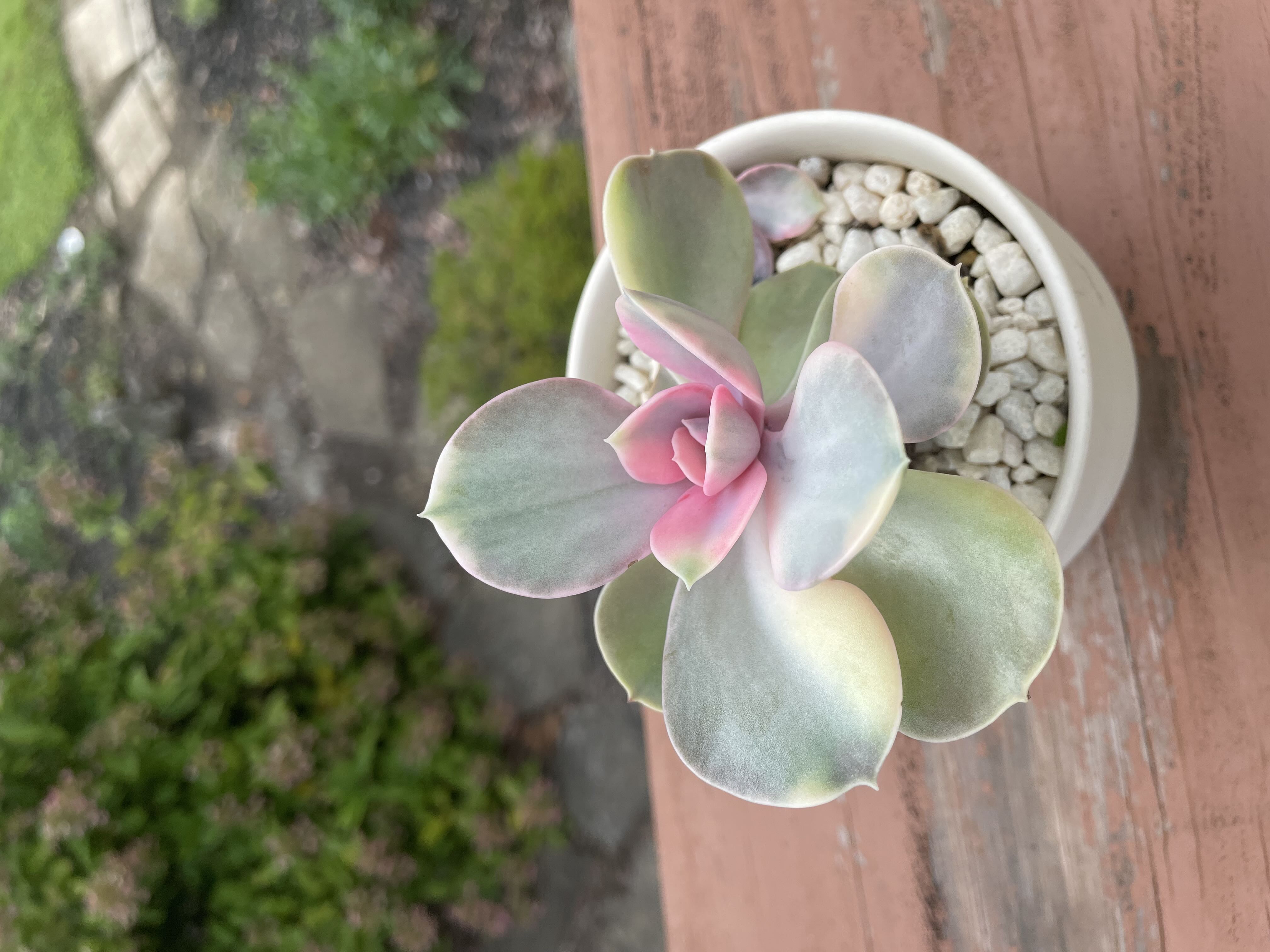 Photo from the post