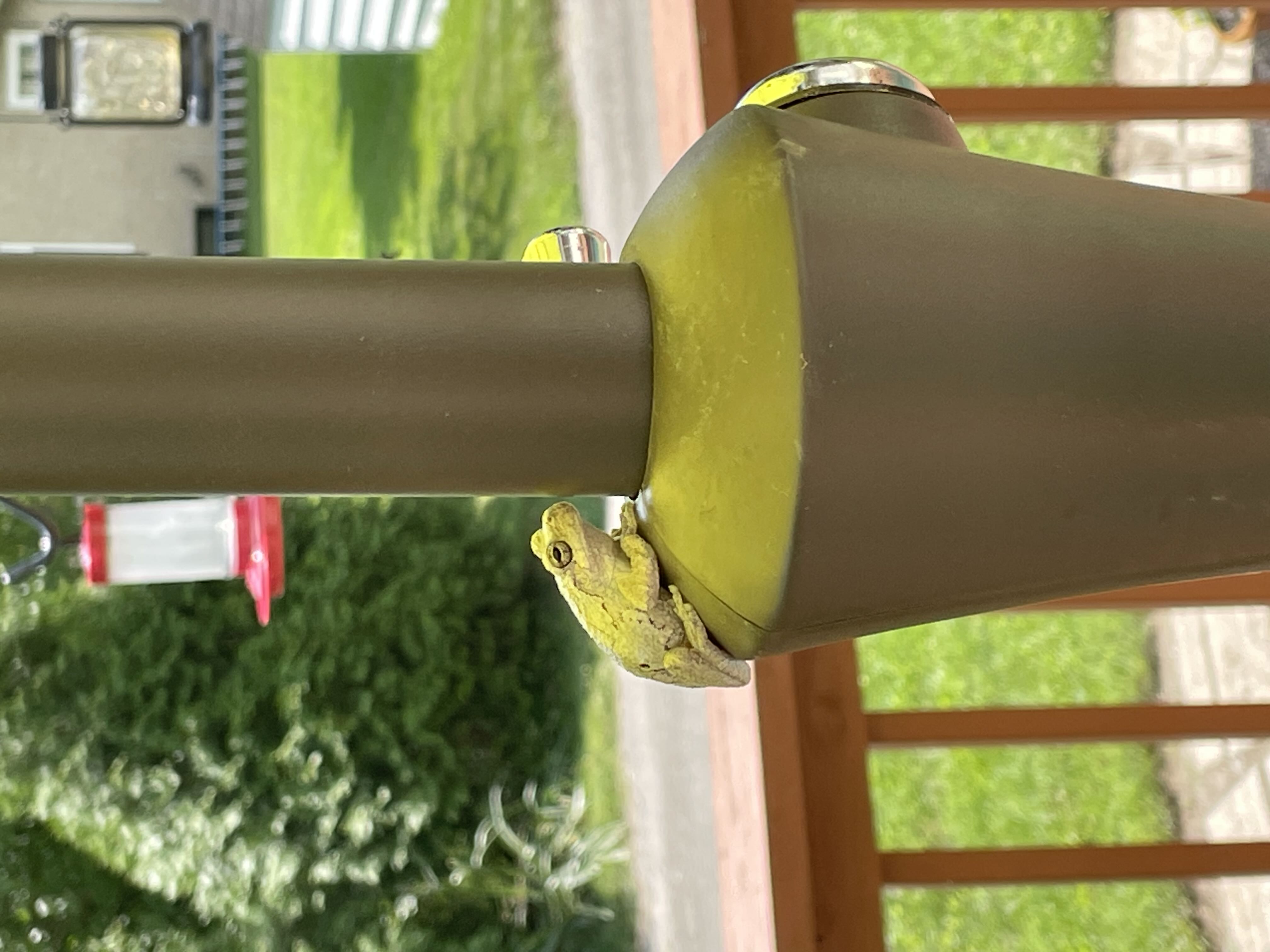 Photo from the post