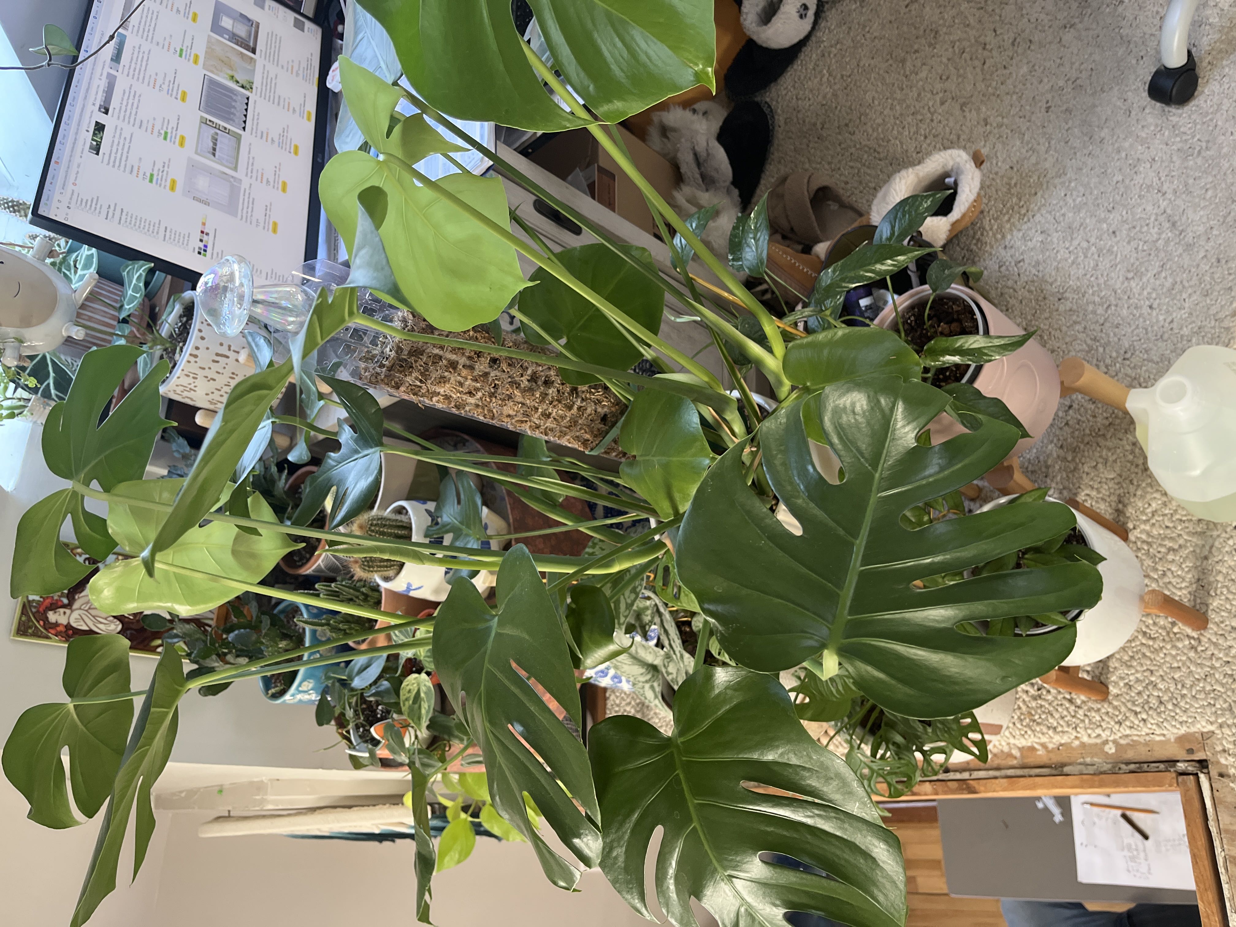 Photo from the post