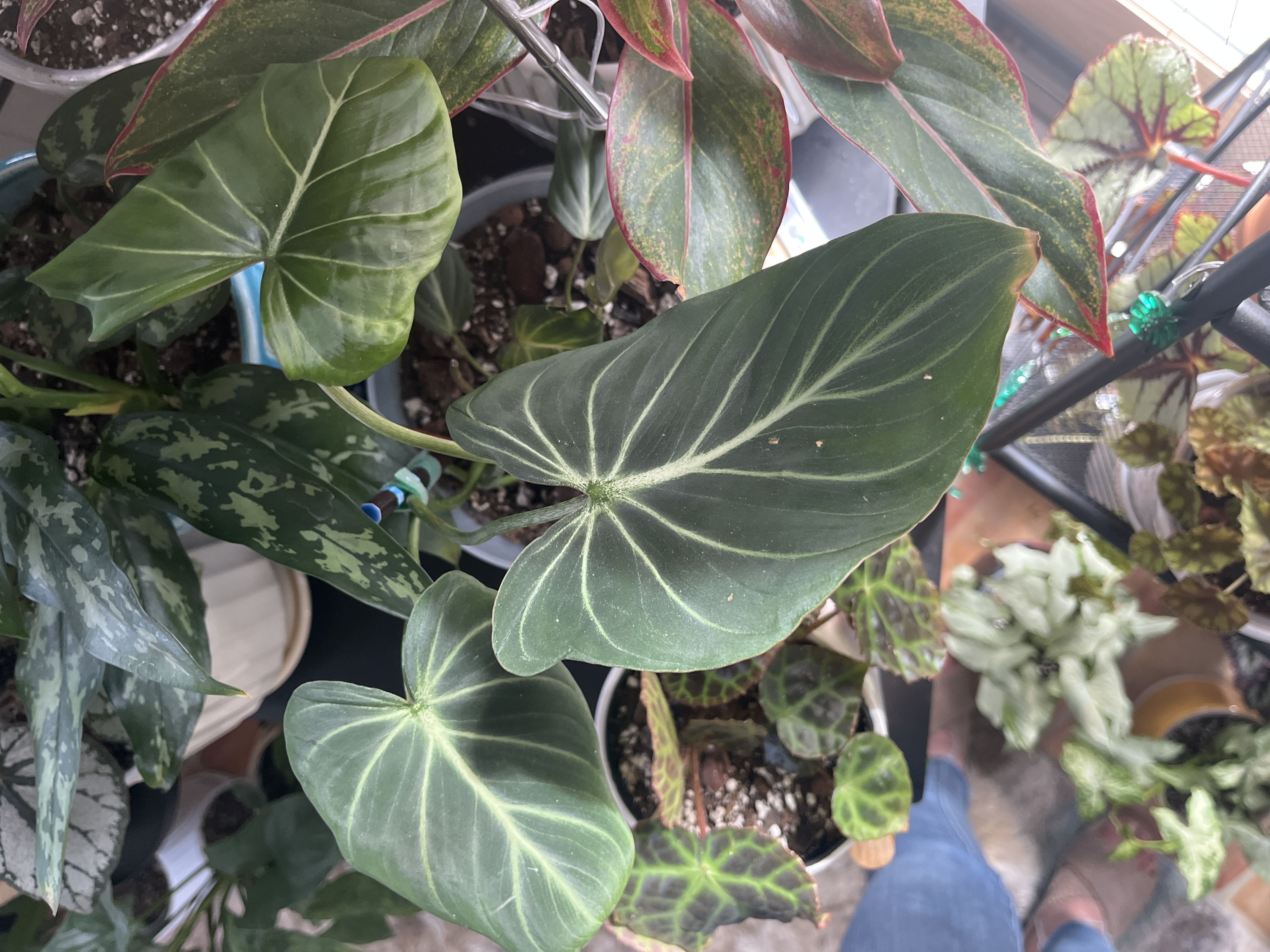 Photo from the post