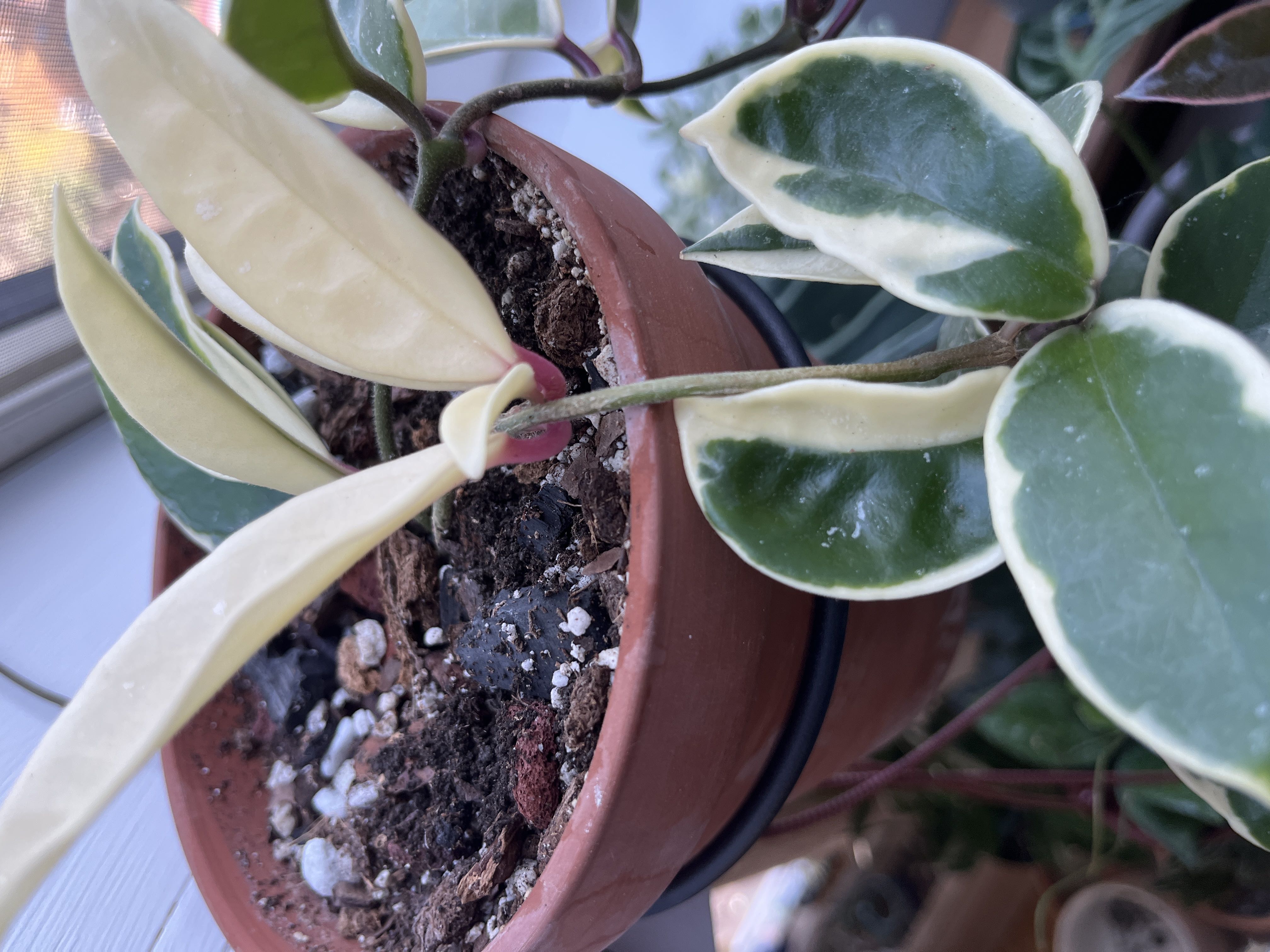 Photo from the post