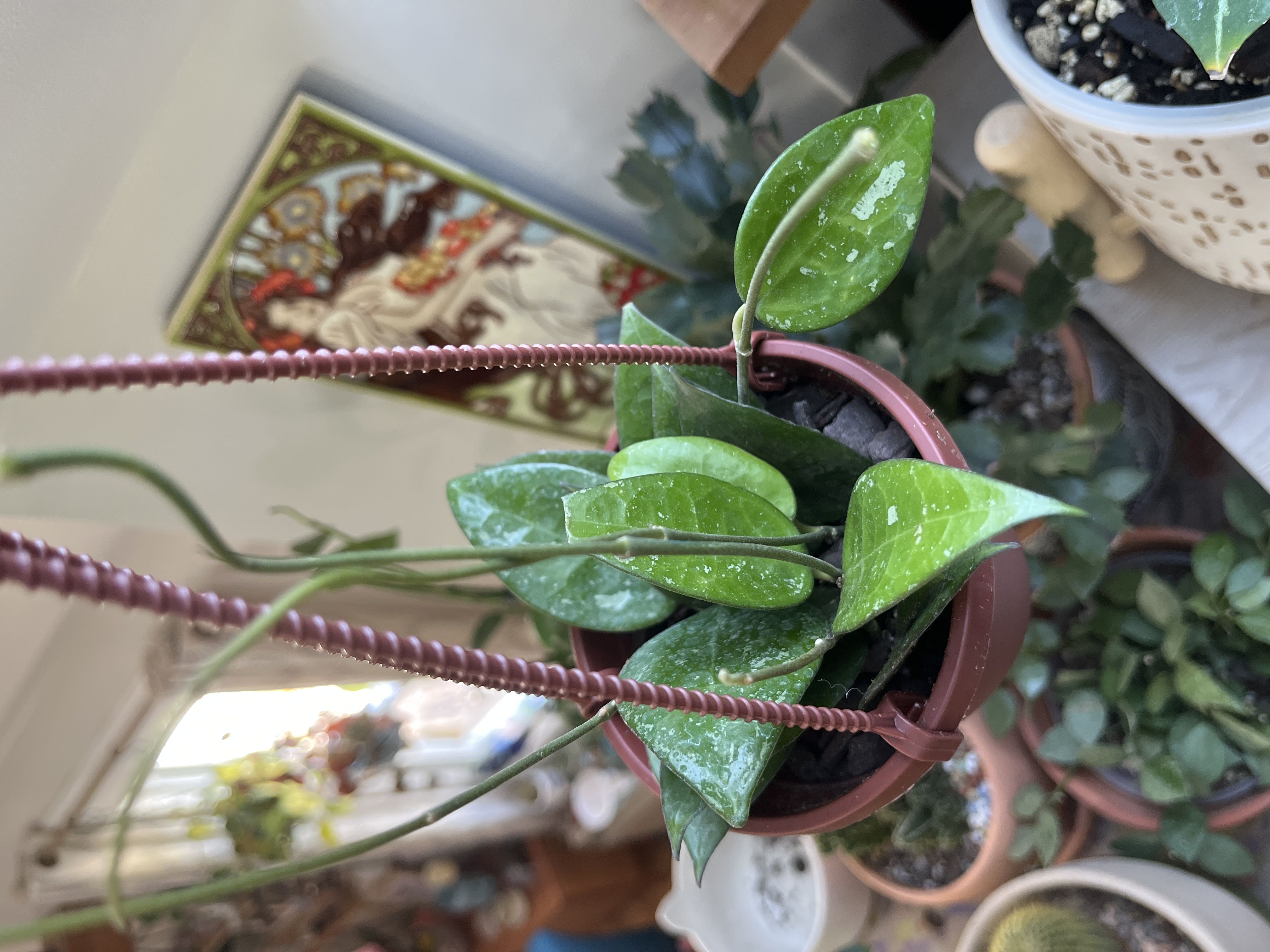 Photo from the post