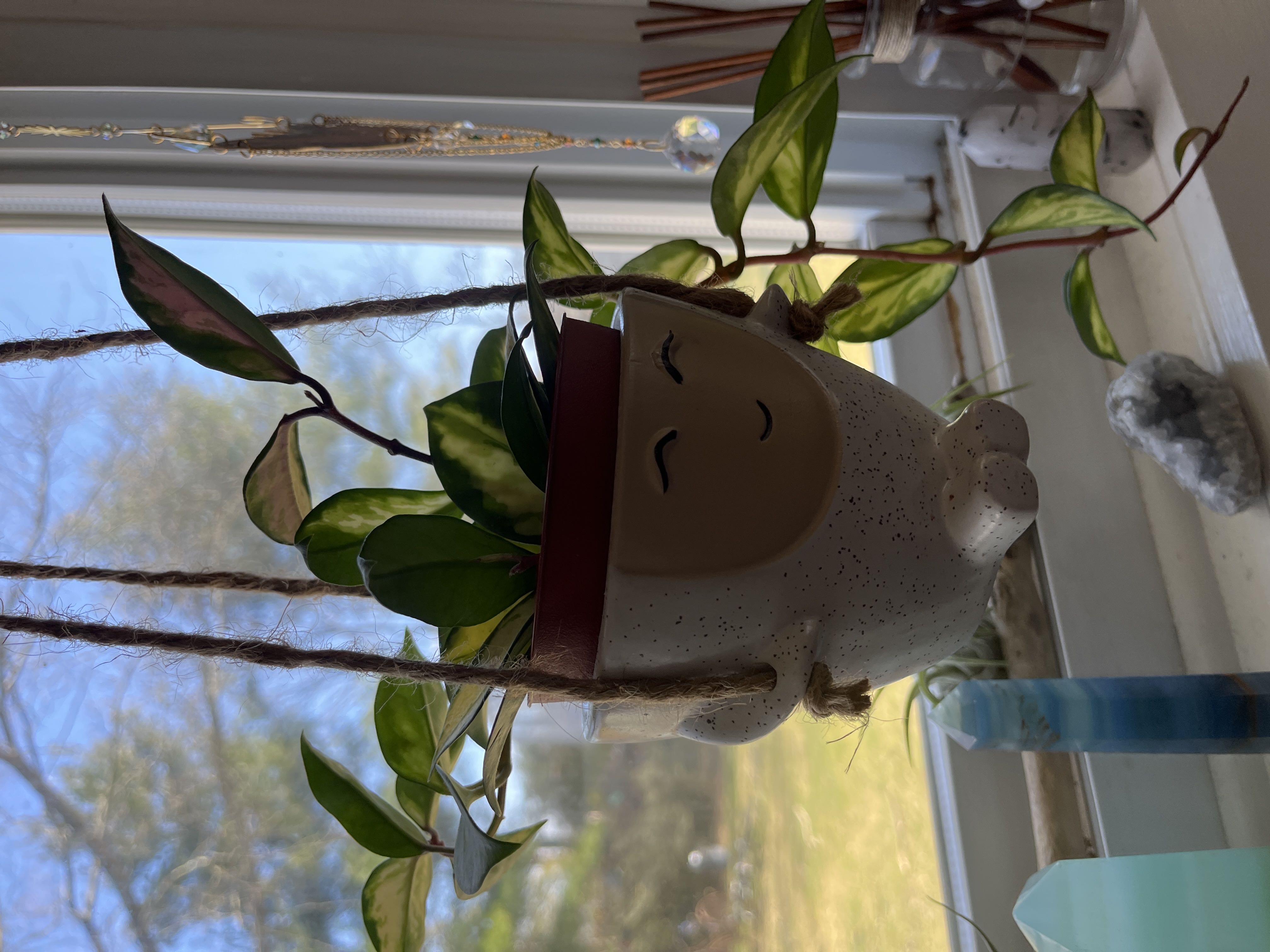 Photo from the post