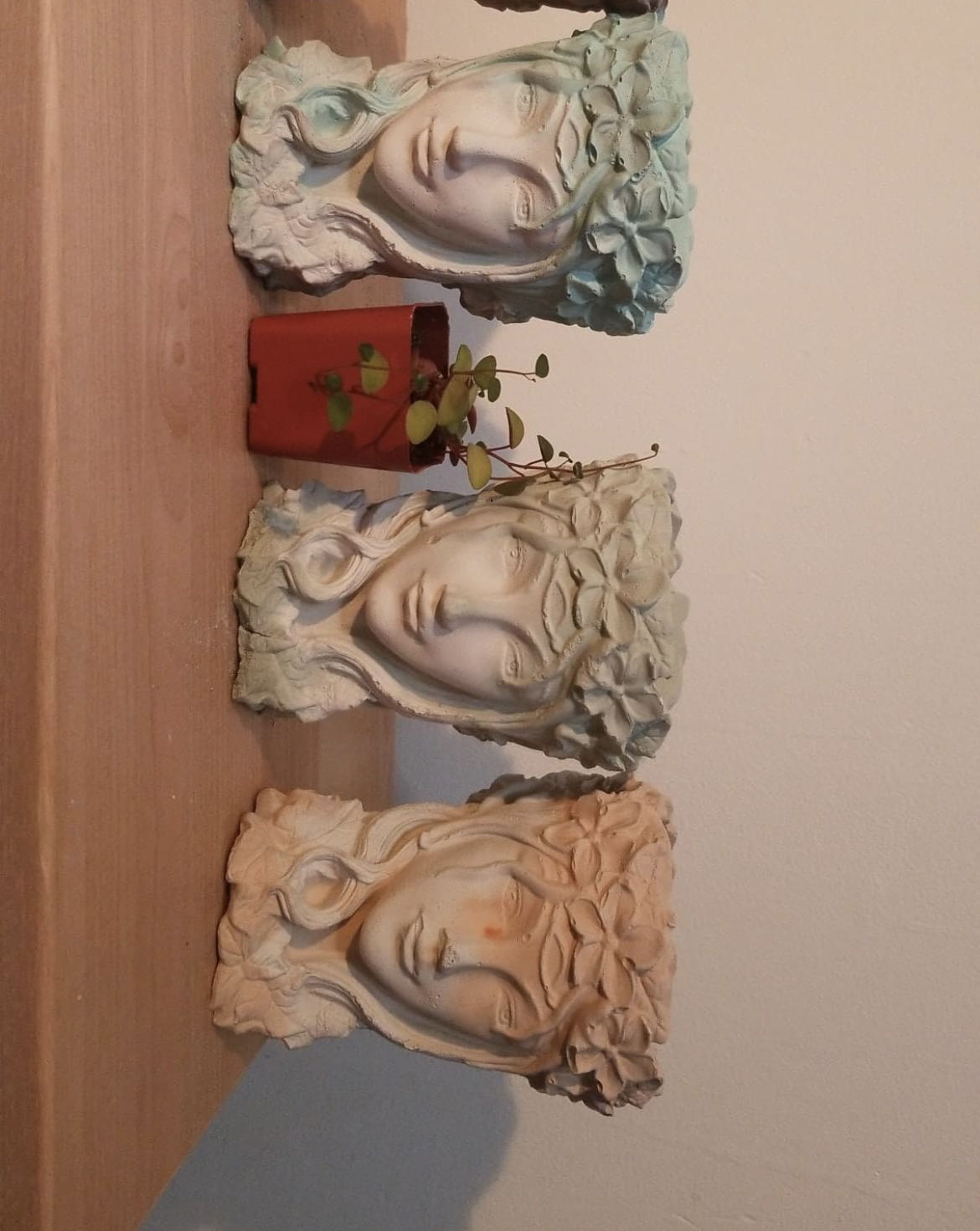 Photo from the post