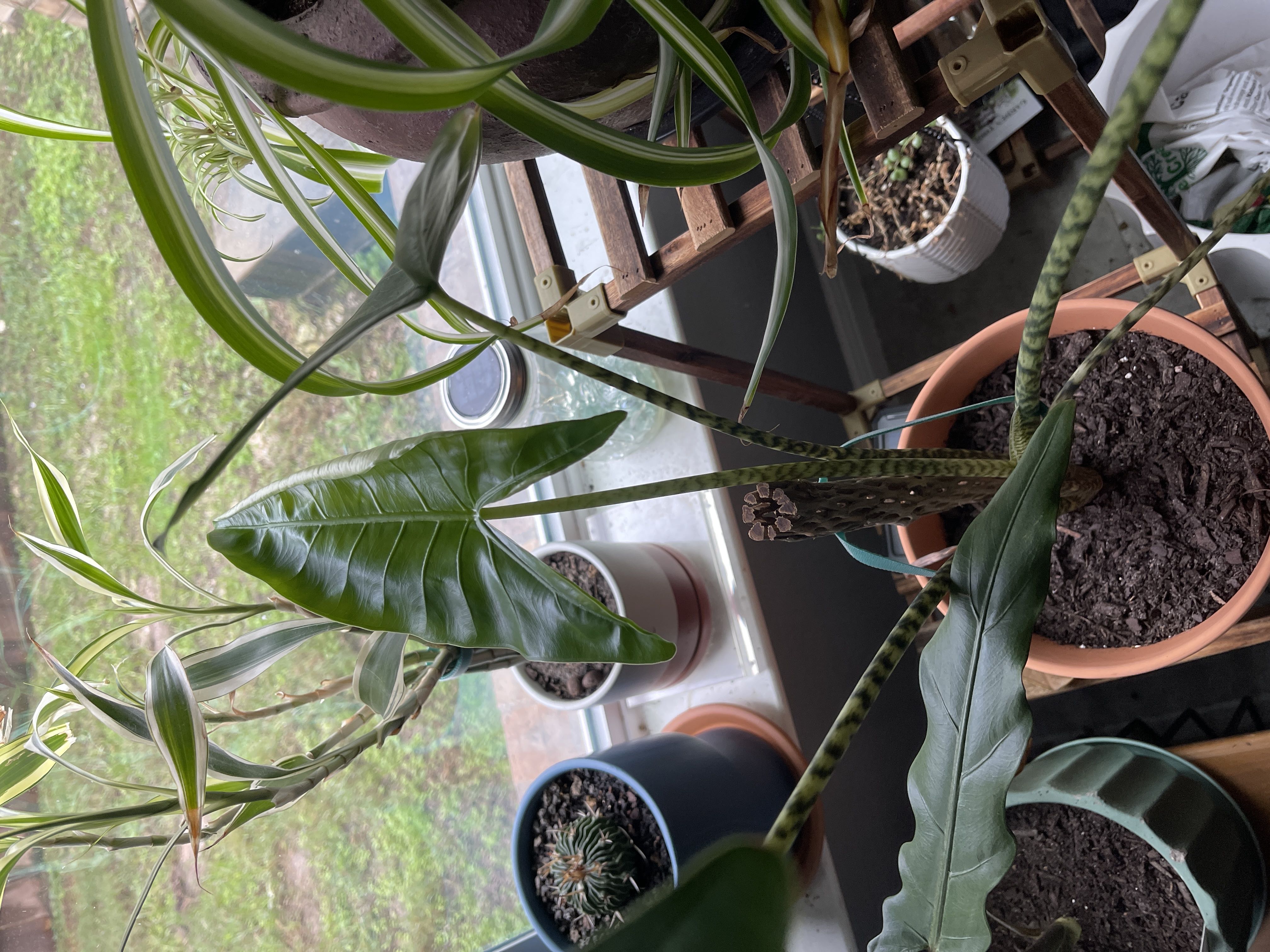 Photo from the post