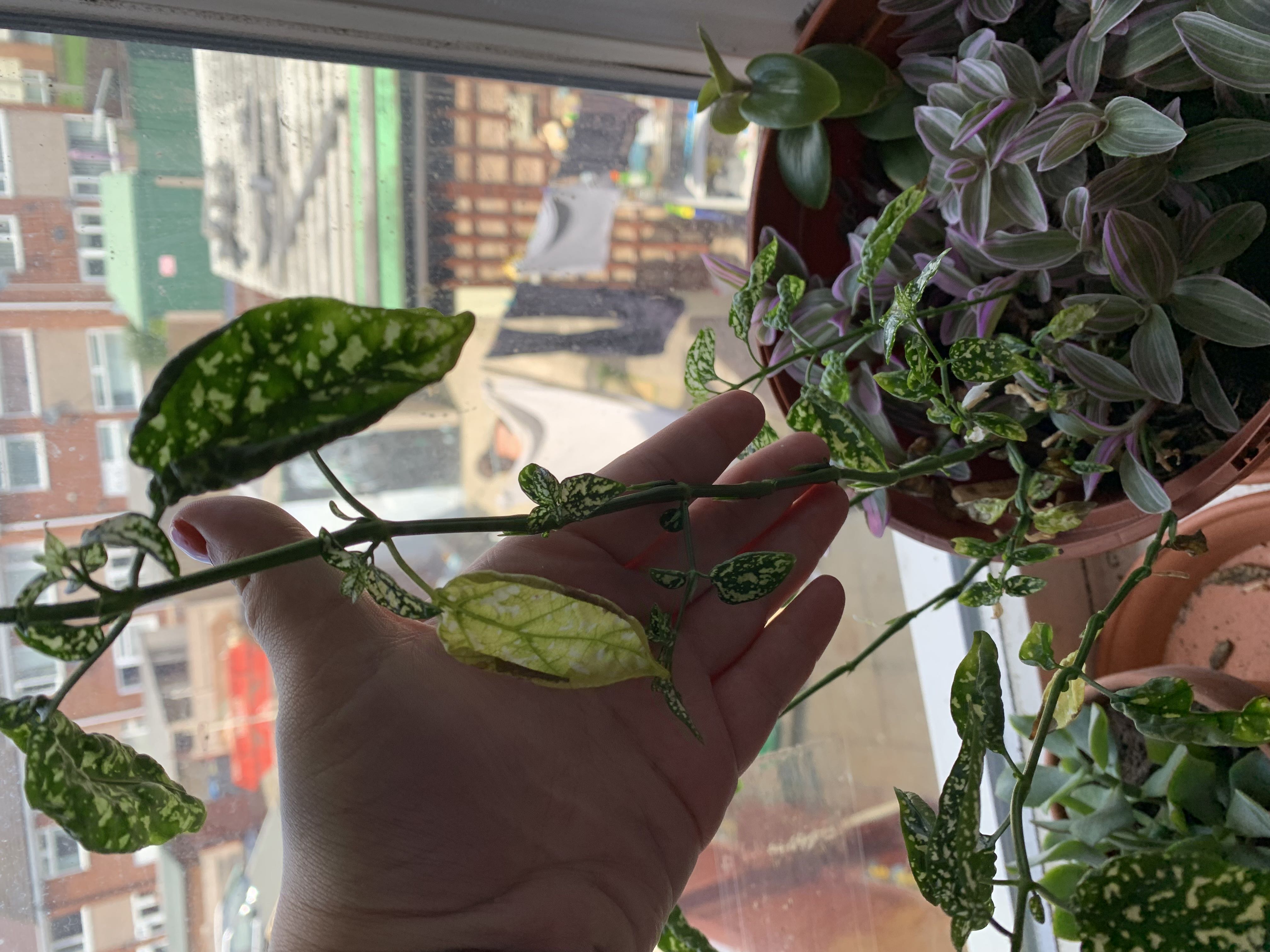 Photo from the post