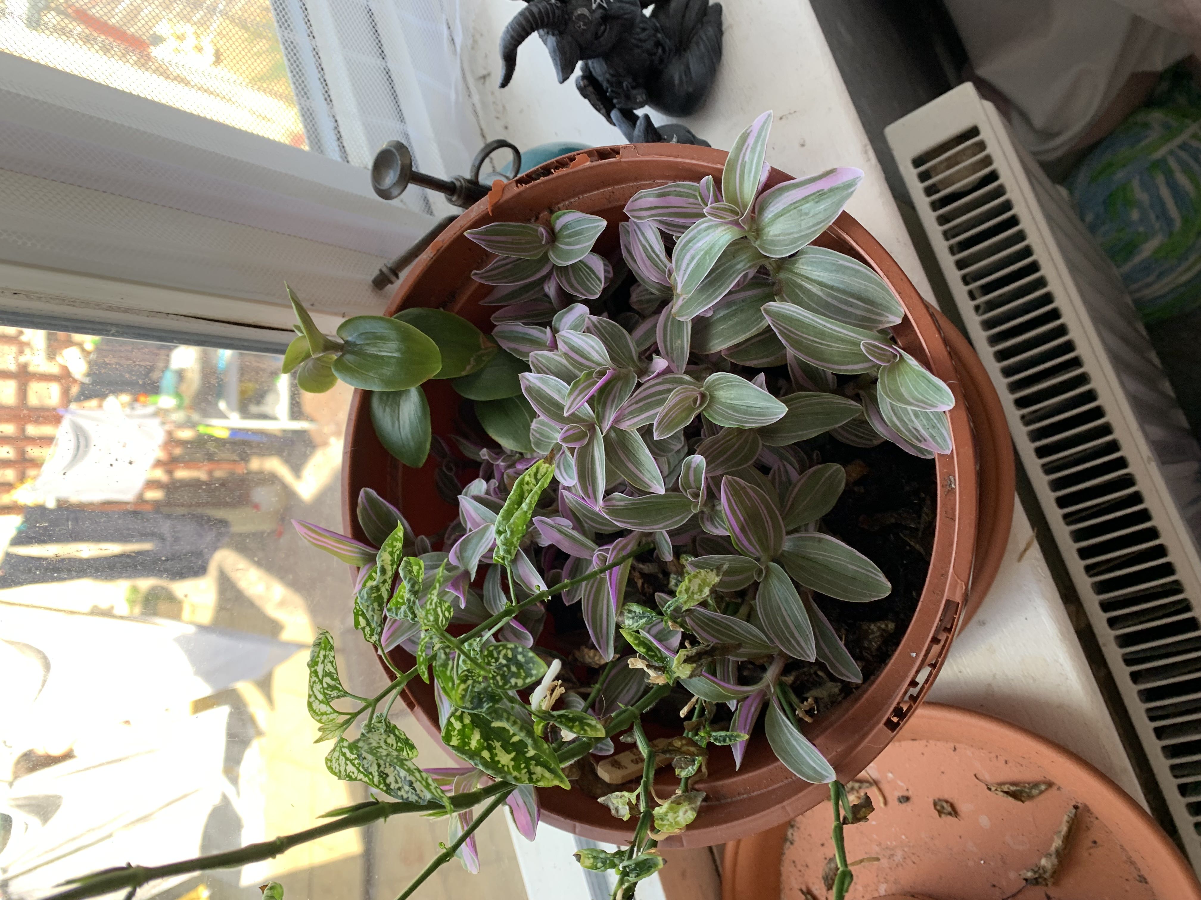 Photo from the post