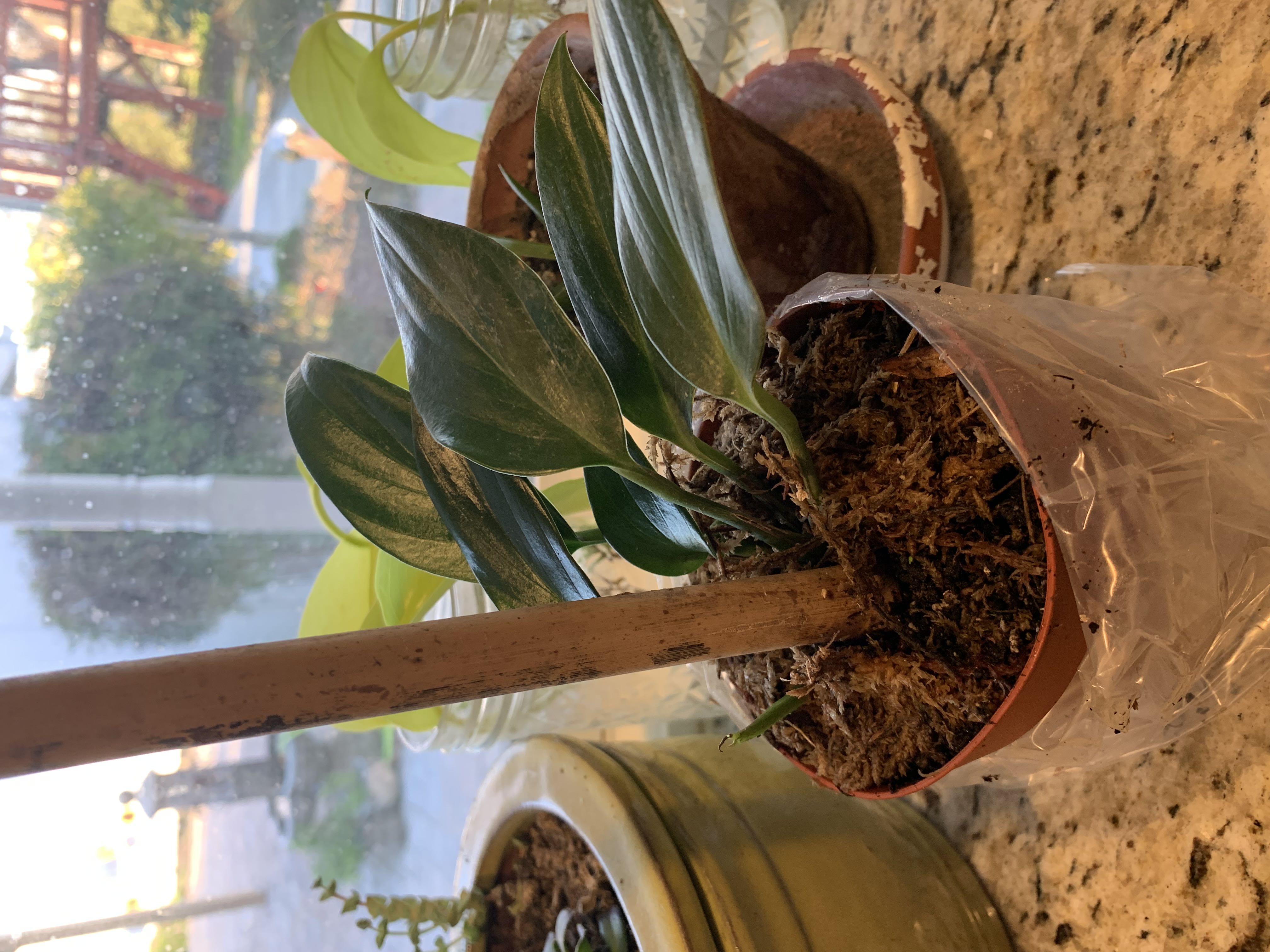 Photo from the post
