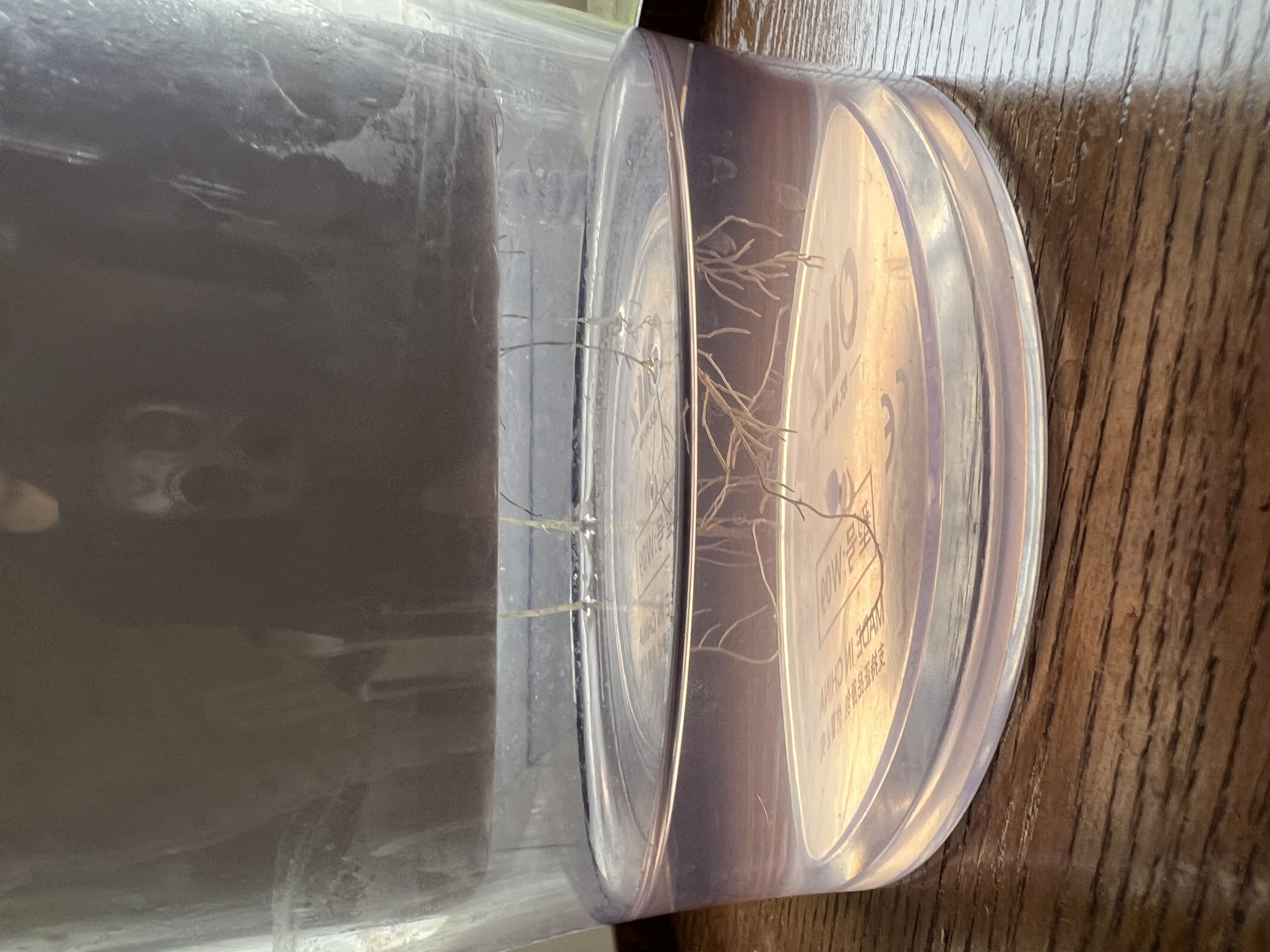 Photo from the post