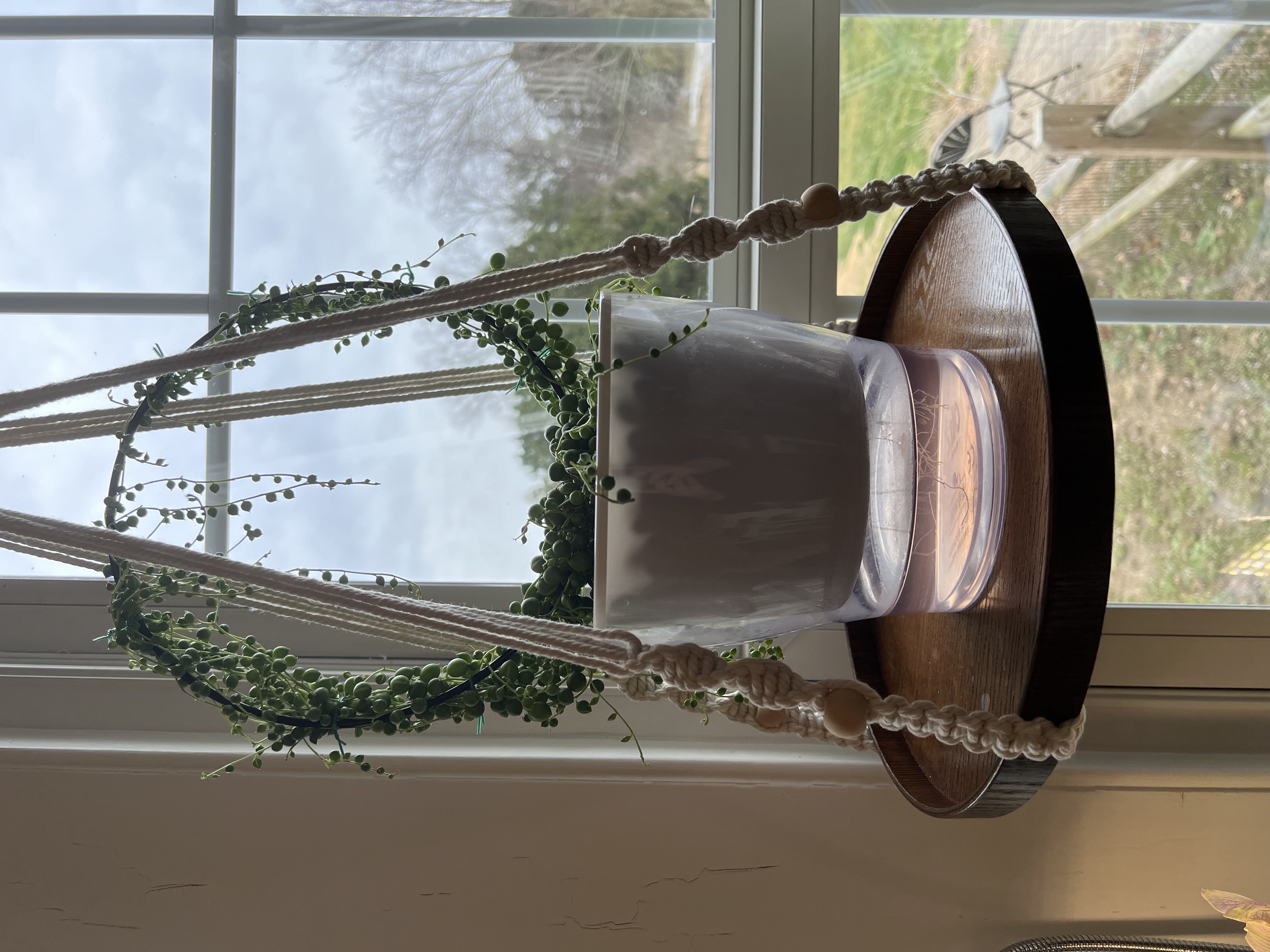 Photo from the post