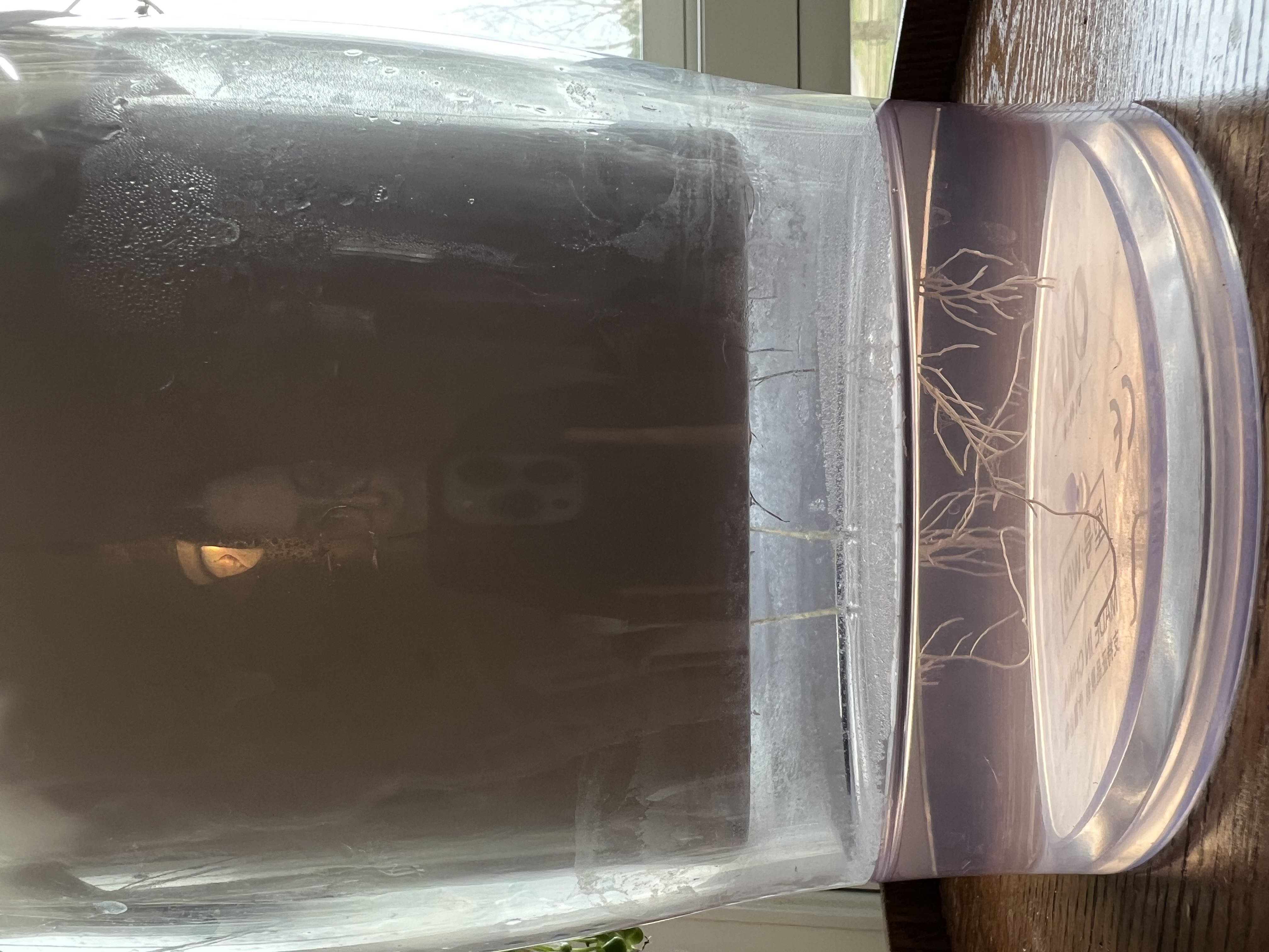 Photo from the post
