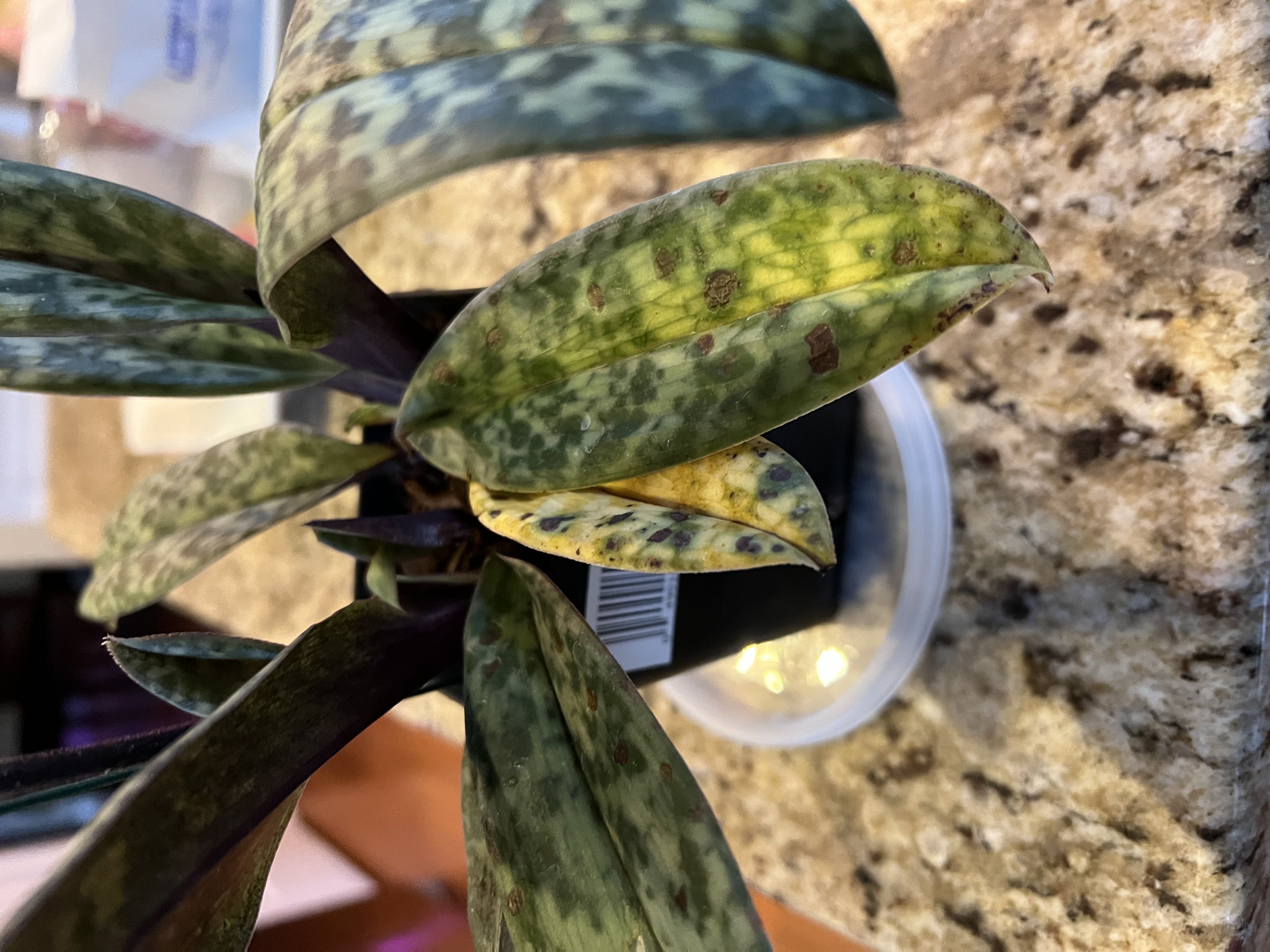 Photo from the post