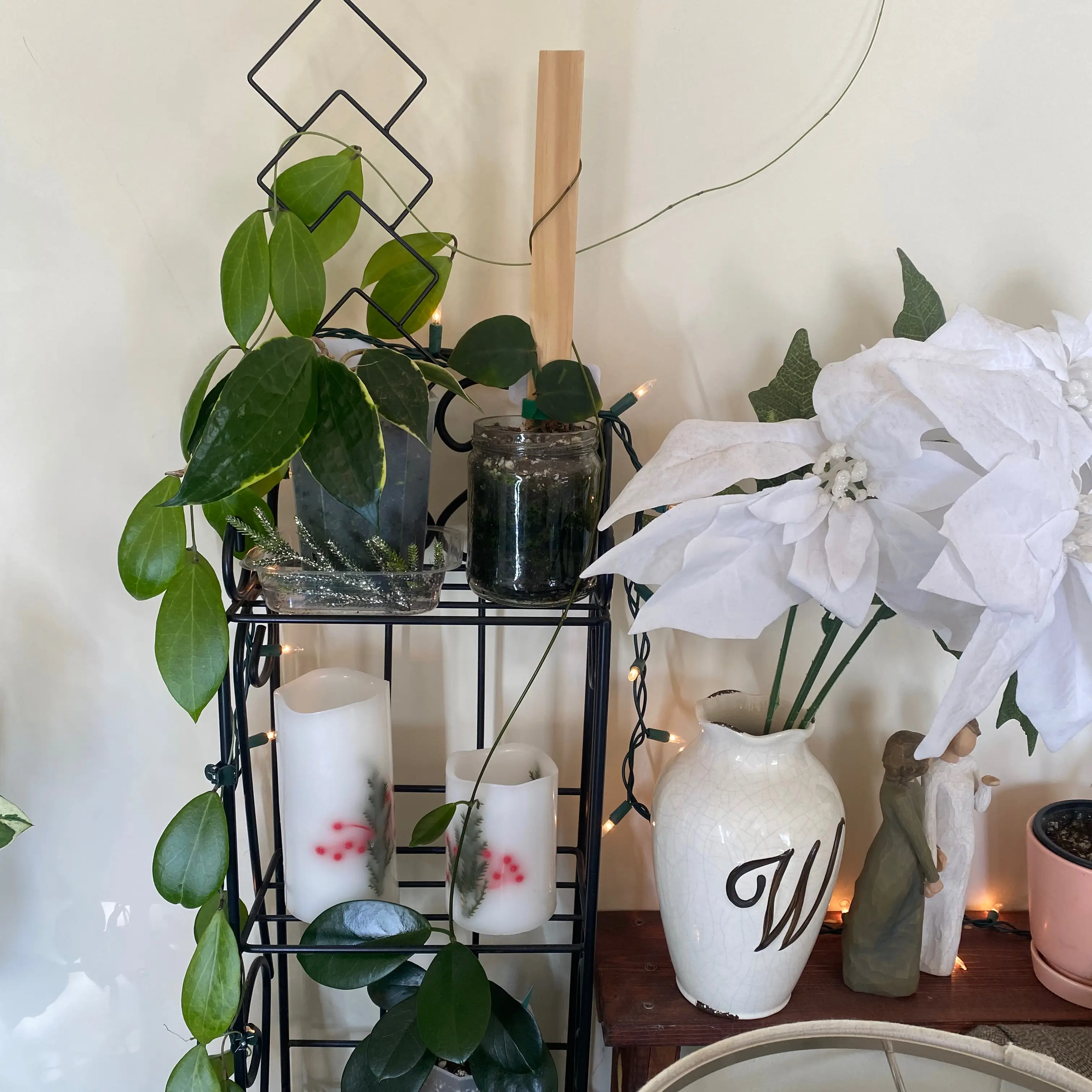 Photo of the plant species Hoya camphorifolia by @MrsFiend named Forrest on Greg, the plant care app