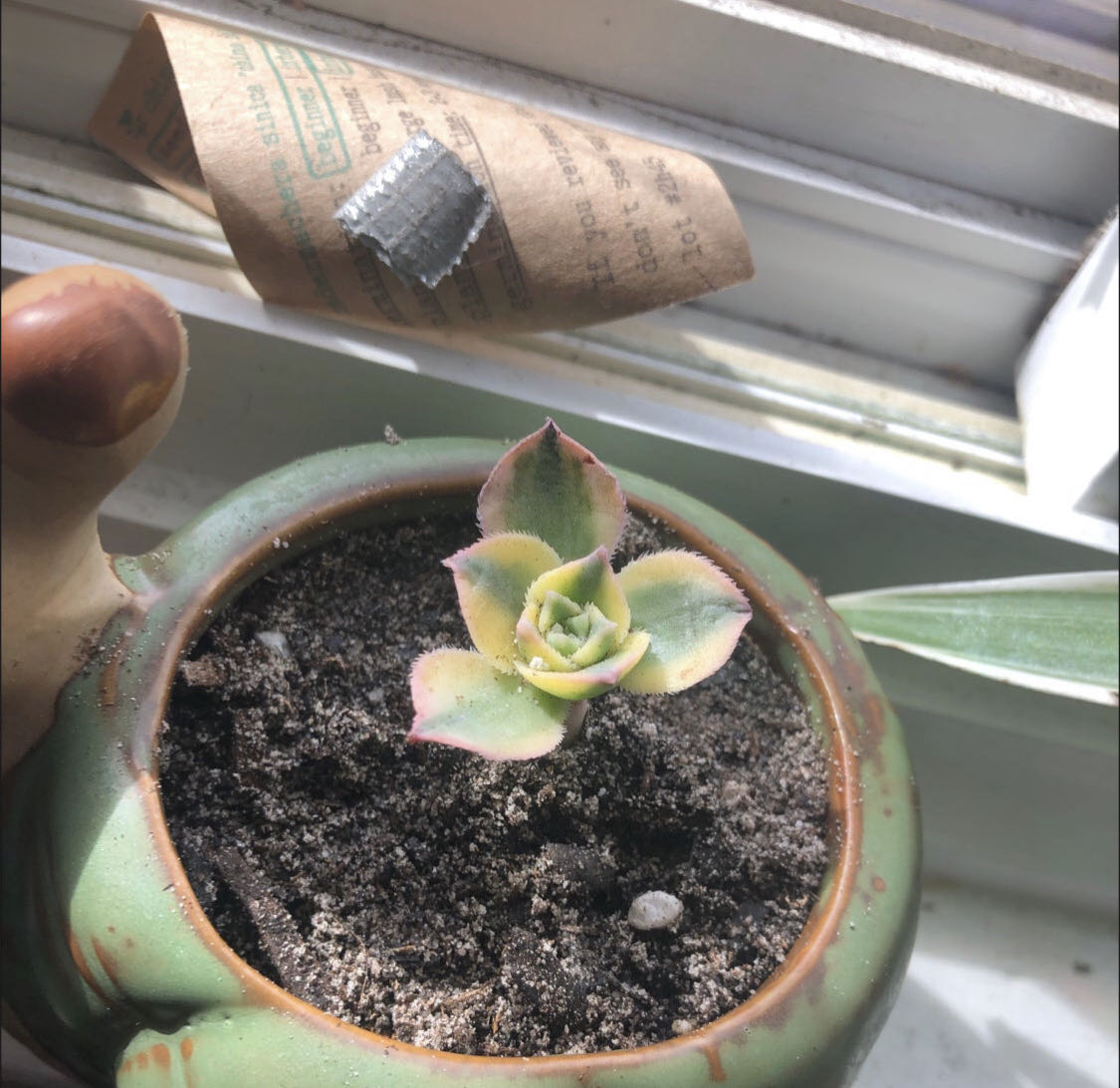 Photo from the post