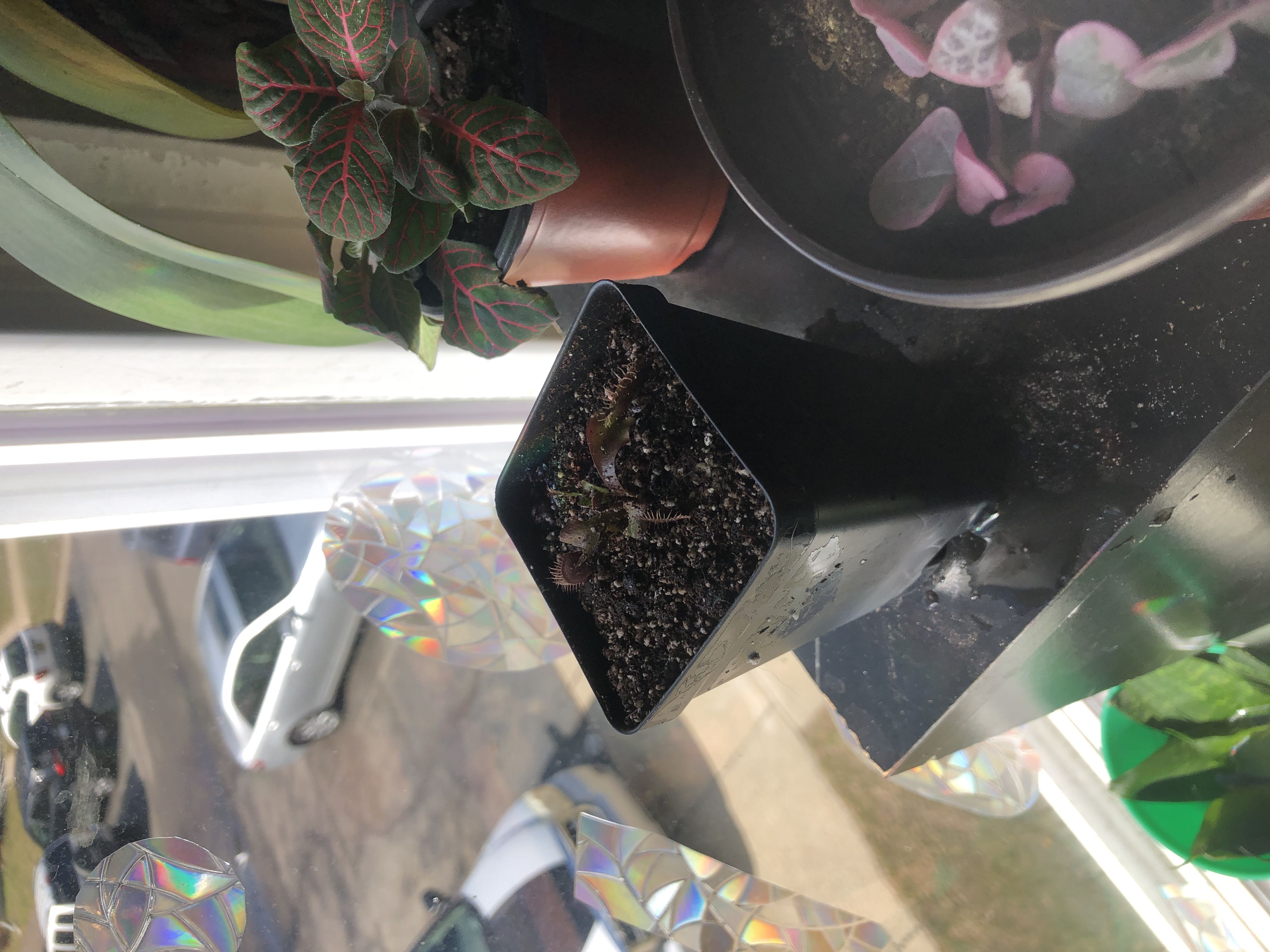 Photo from the post